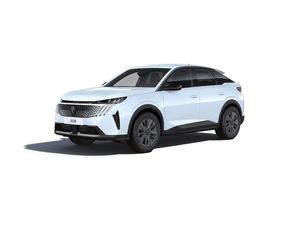 Peugeot 3008, BUSINESS
