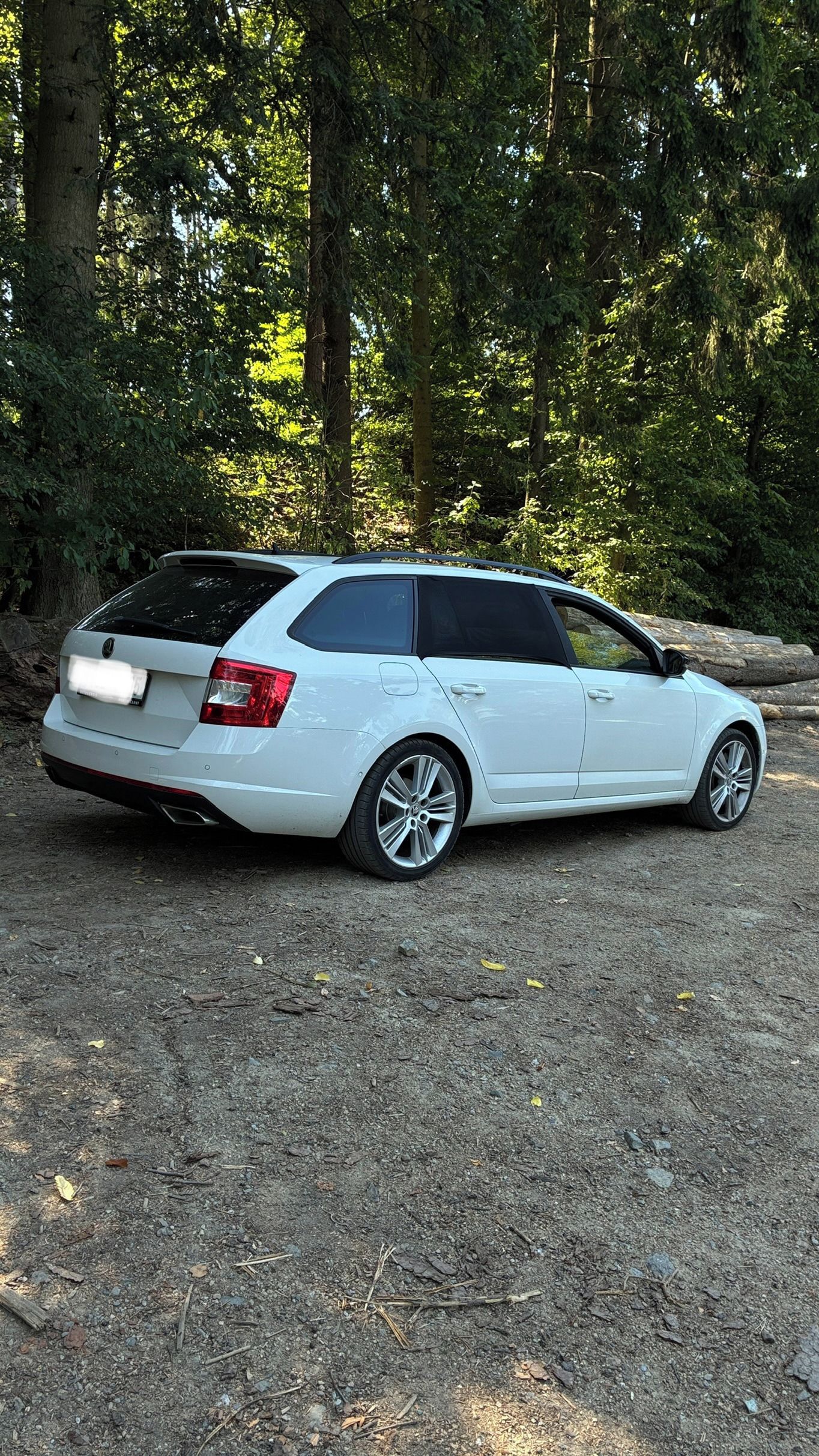 Škoda Octavia, 2.0 TDI RS, po větším servisu - fotka 6