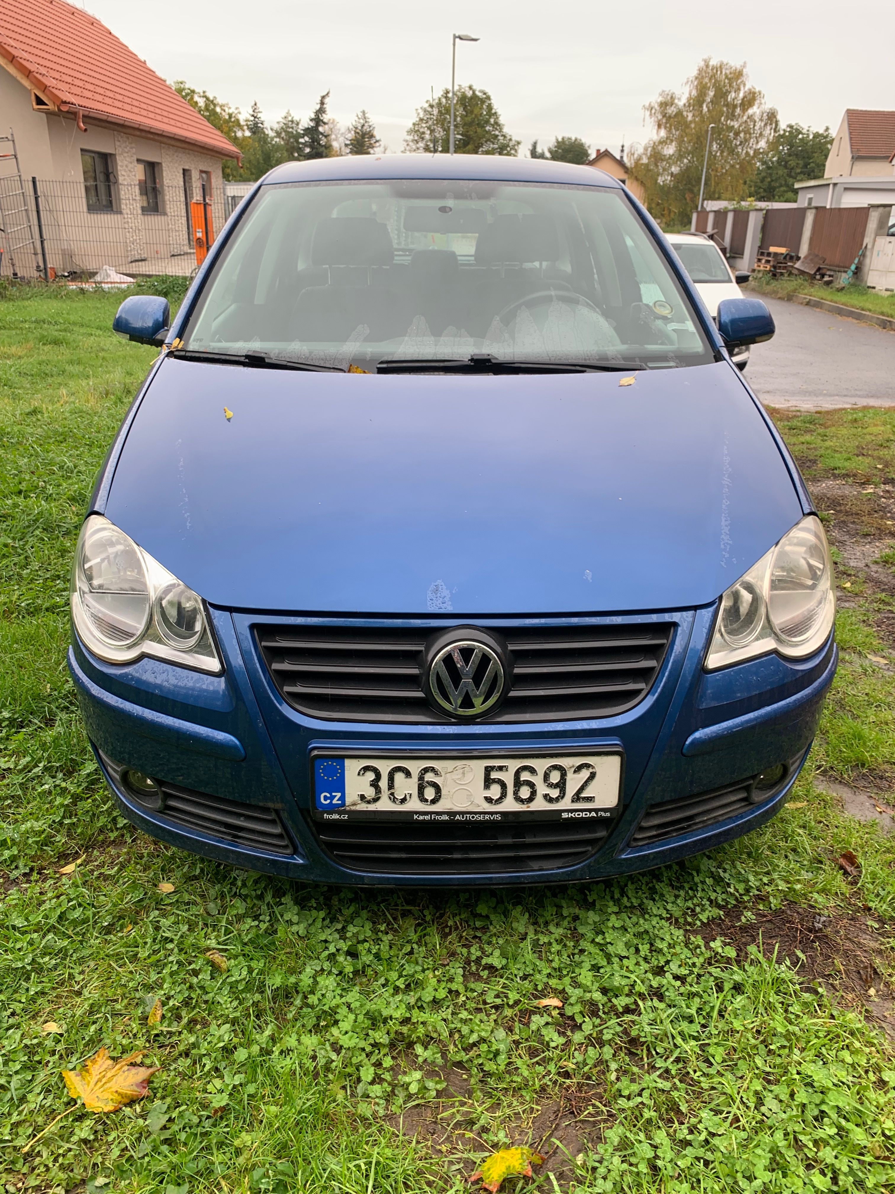 Volkswagen Polo, Polo