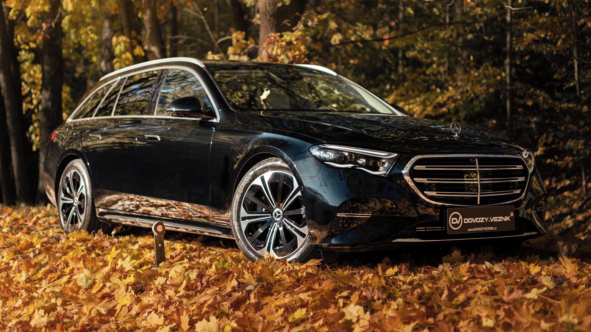 Mercedes-Benz Třídy E, MB E 300 DE 4MATIC - fotka 6