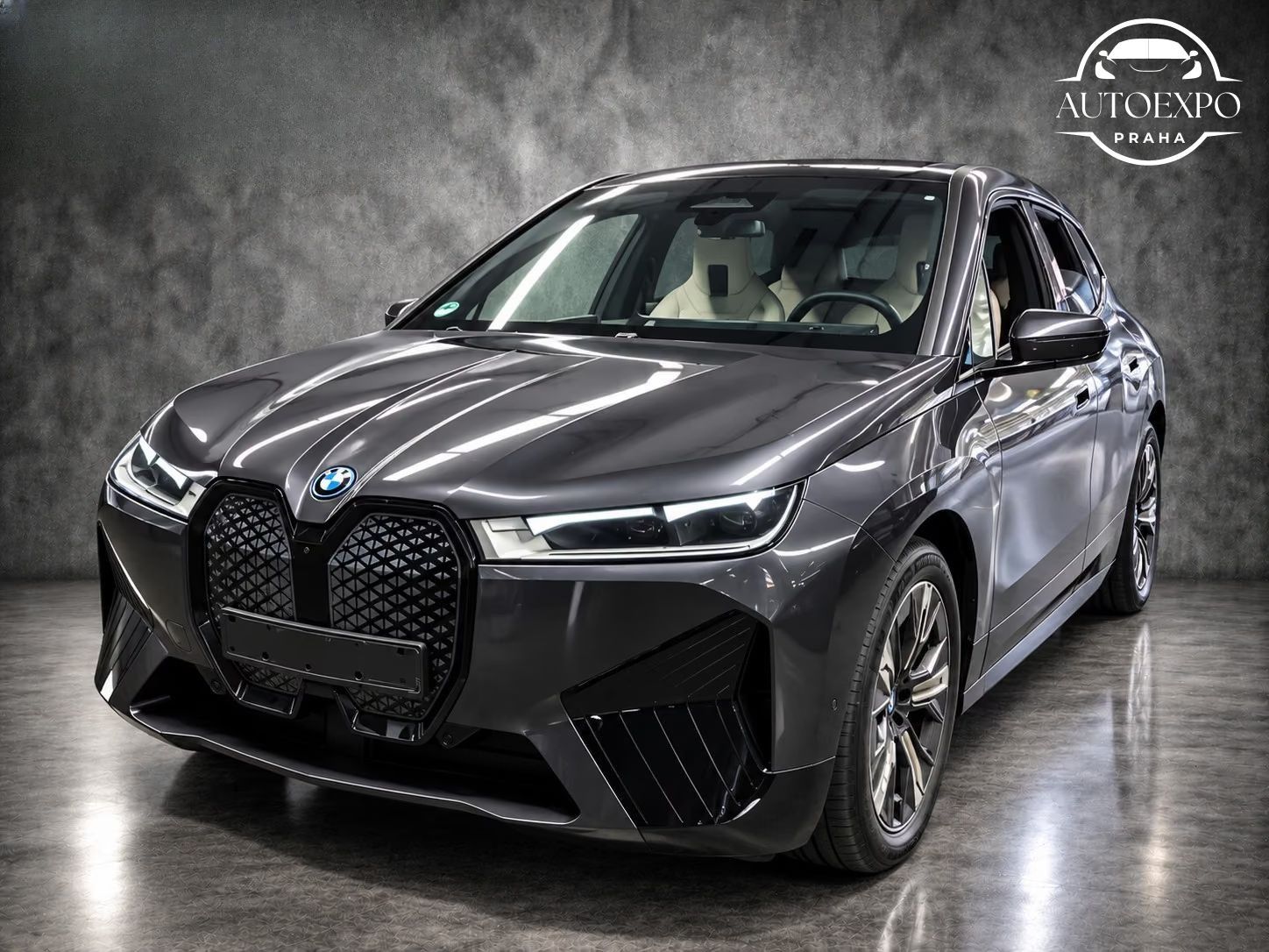 BMW iX, xDrive40 Sport * Panorama *