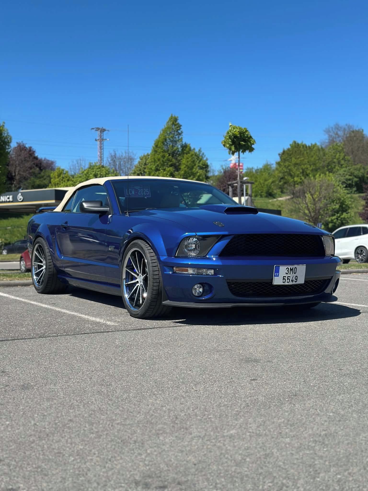 Ford Mustang, Mustang V8 Convertible - fotka 2