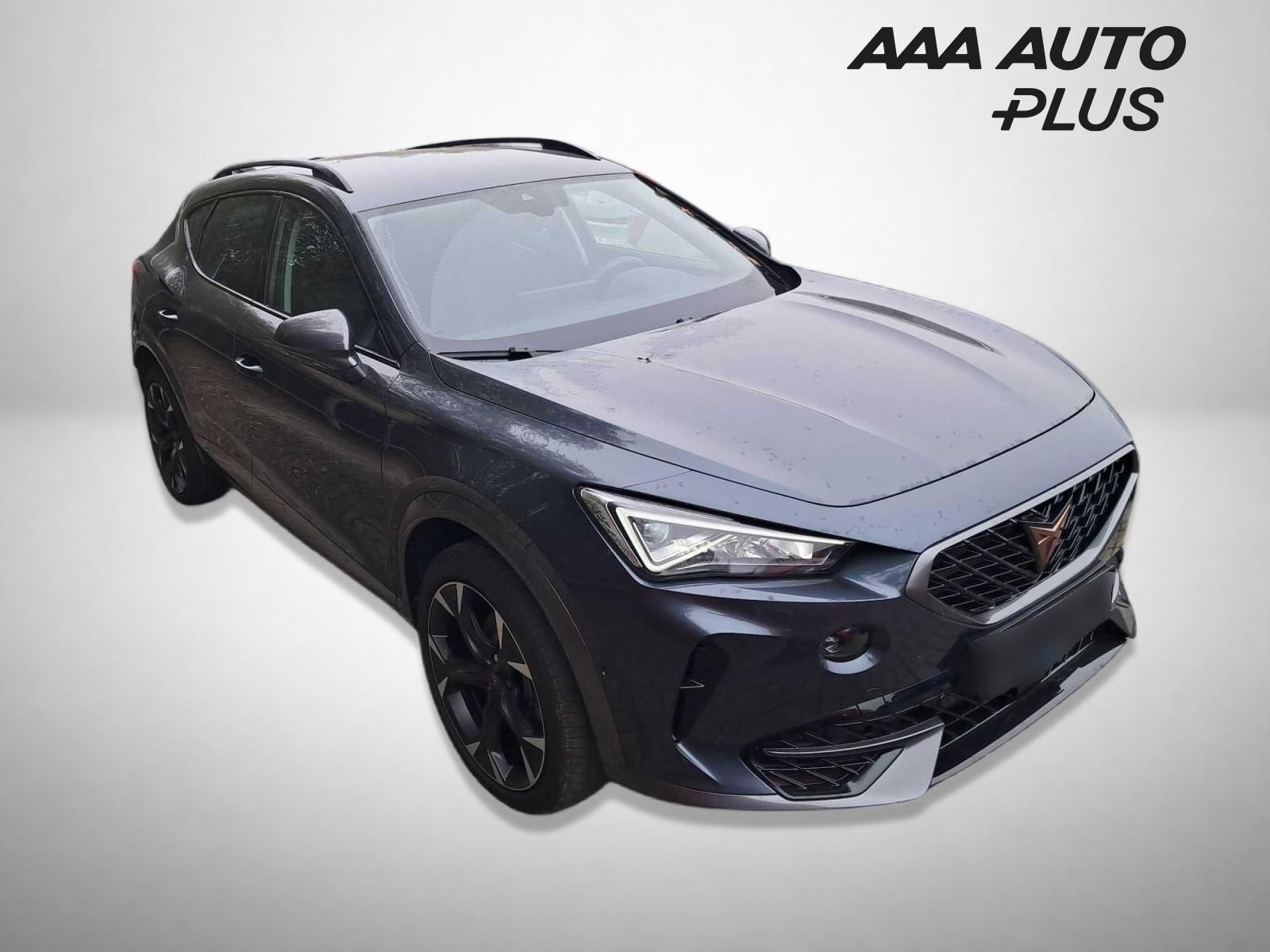 Cupra Formentor, 2.0 TSI 4Drive, Performance