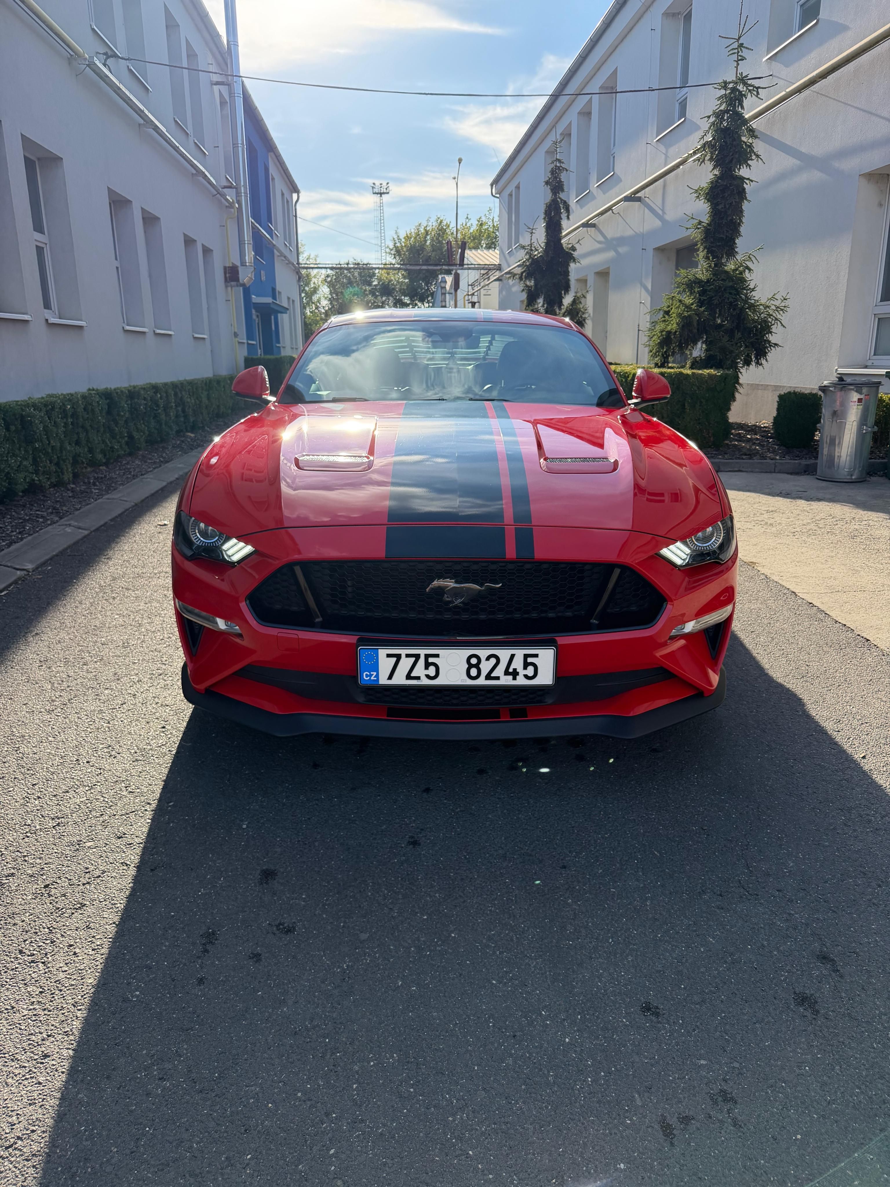 Ford Mustang - fotka 2