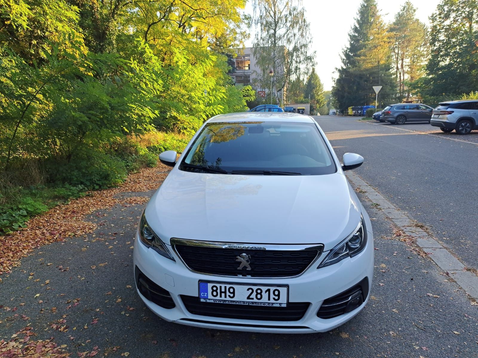 Peugeot 308, Peugeot 308 SW Active Pack 1.2 - fotka 4