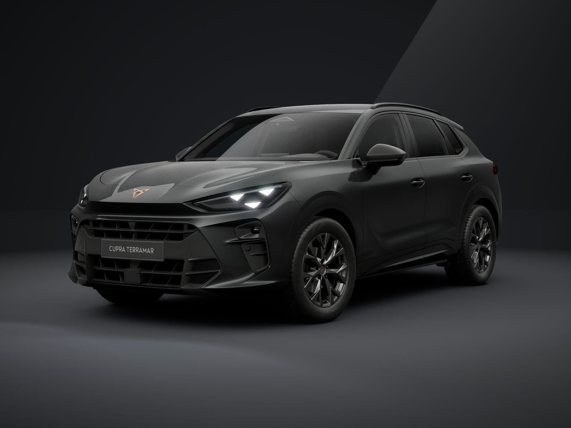 Cupra Terramar, Terramar 1.5 eTSI 150k DSG