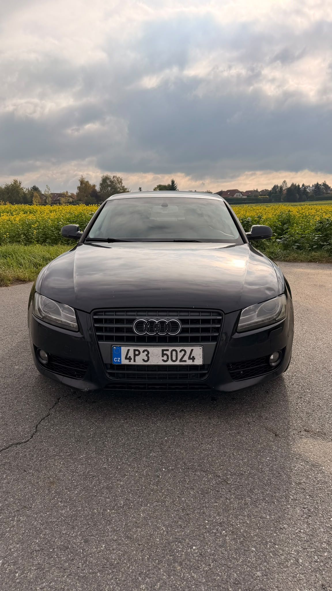 Audi A5, 3.0 TDI Quattro 176 kW