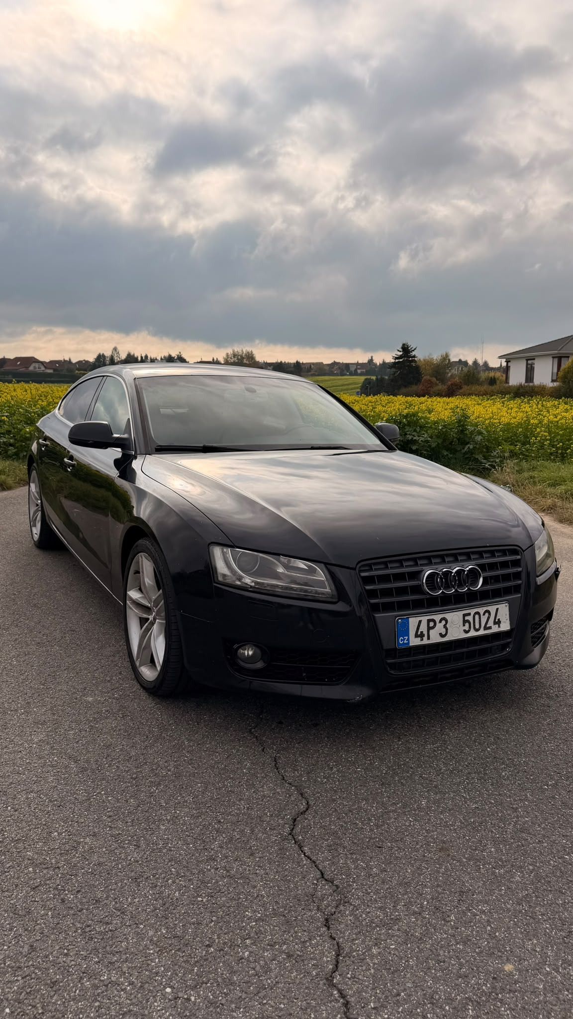 Audi A5, 3.0 TDI Quattro 176 kW - fotka 5