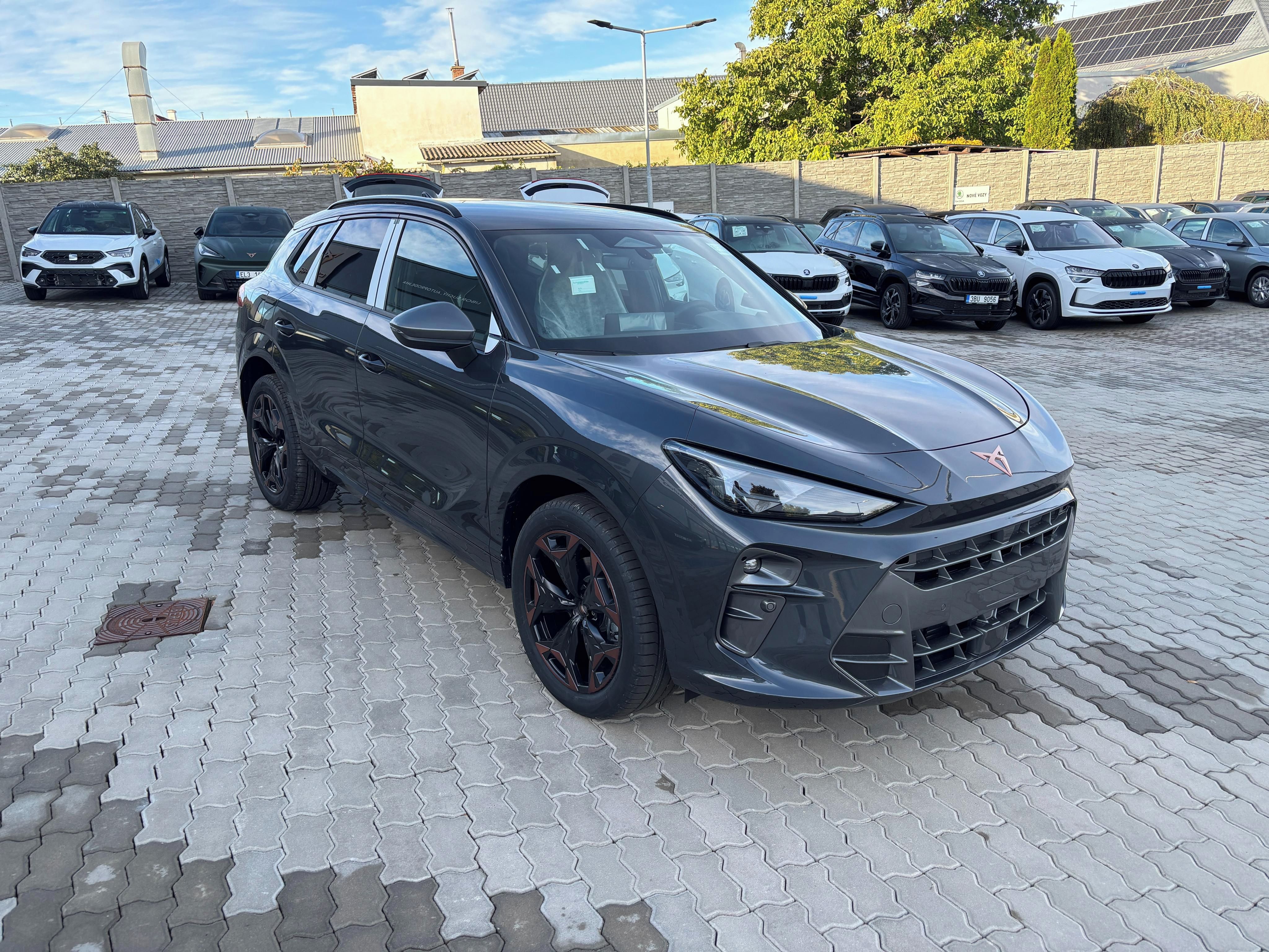 Cupra Terramar, 1.5 eTSI 150k DSG - fotka 4