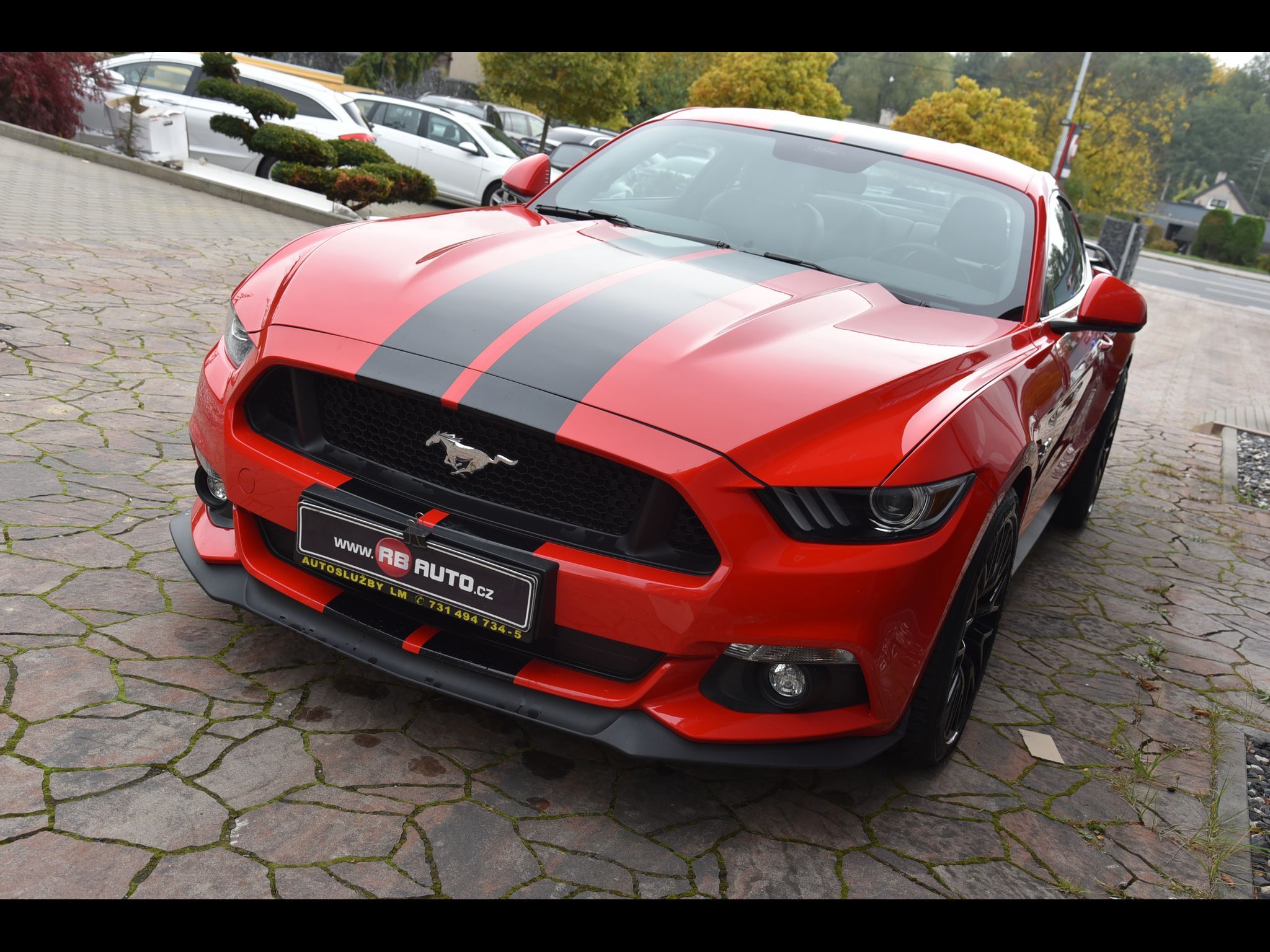 Ford Mustang, 5.0 V8 310 kw"ČR"RED" - fotka 6