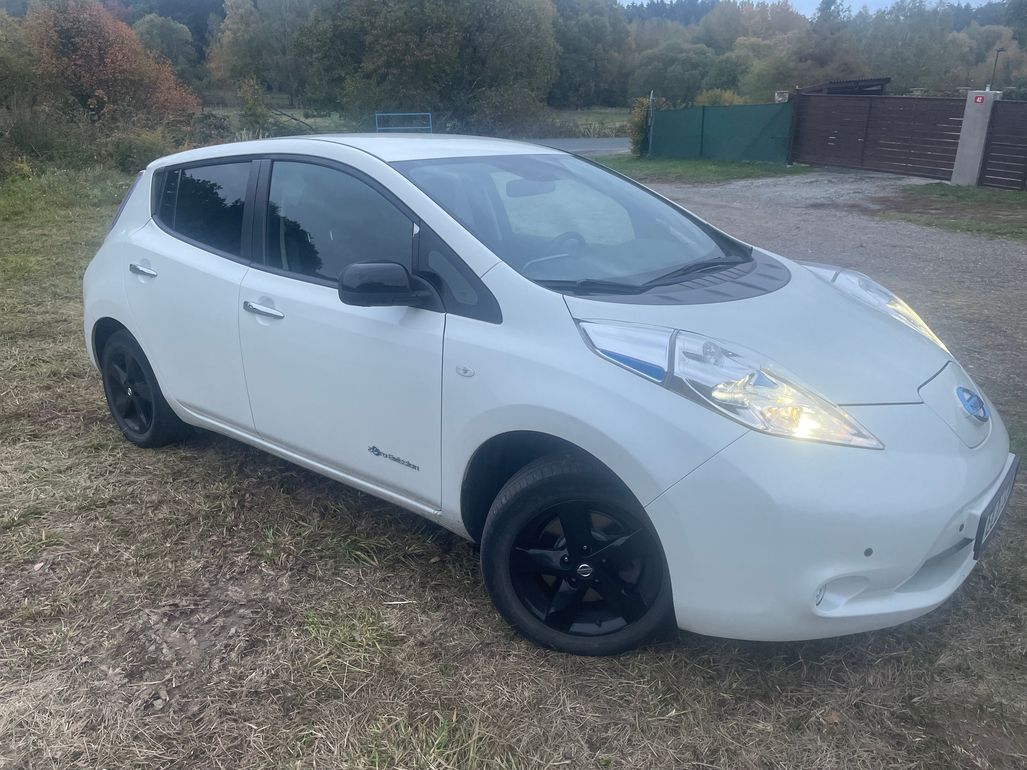 Nissan LEAF - fotka 2