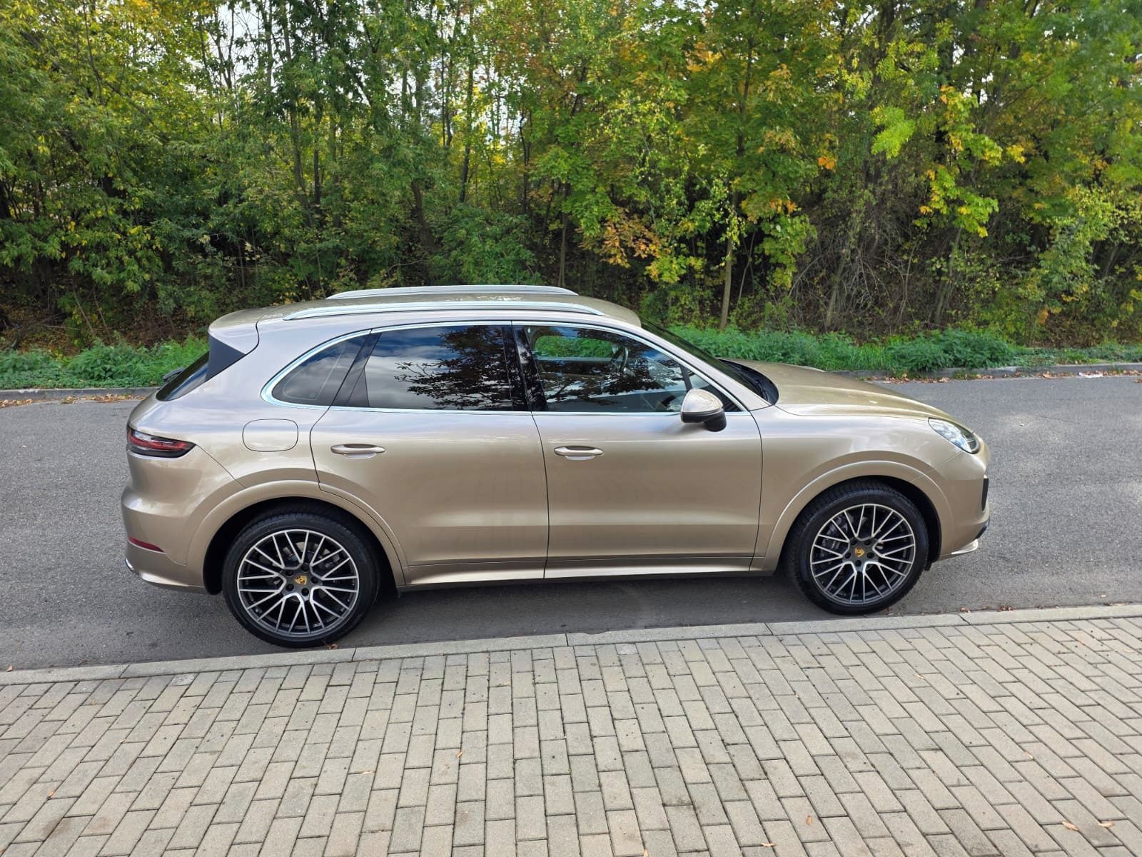 Porsche Cayenne, 3.0, 250KW, 4x4, 360°, VZDUCH - fotka 2