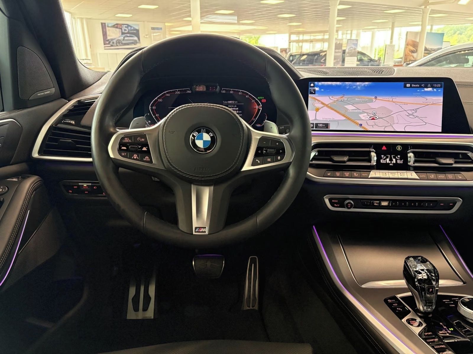 BMW X5, xDrive 30d M Sport *Kůže*Navi* - fotka 4