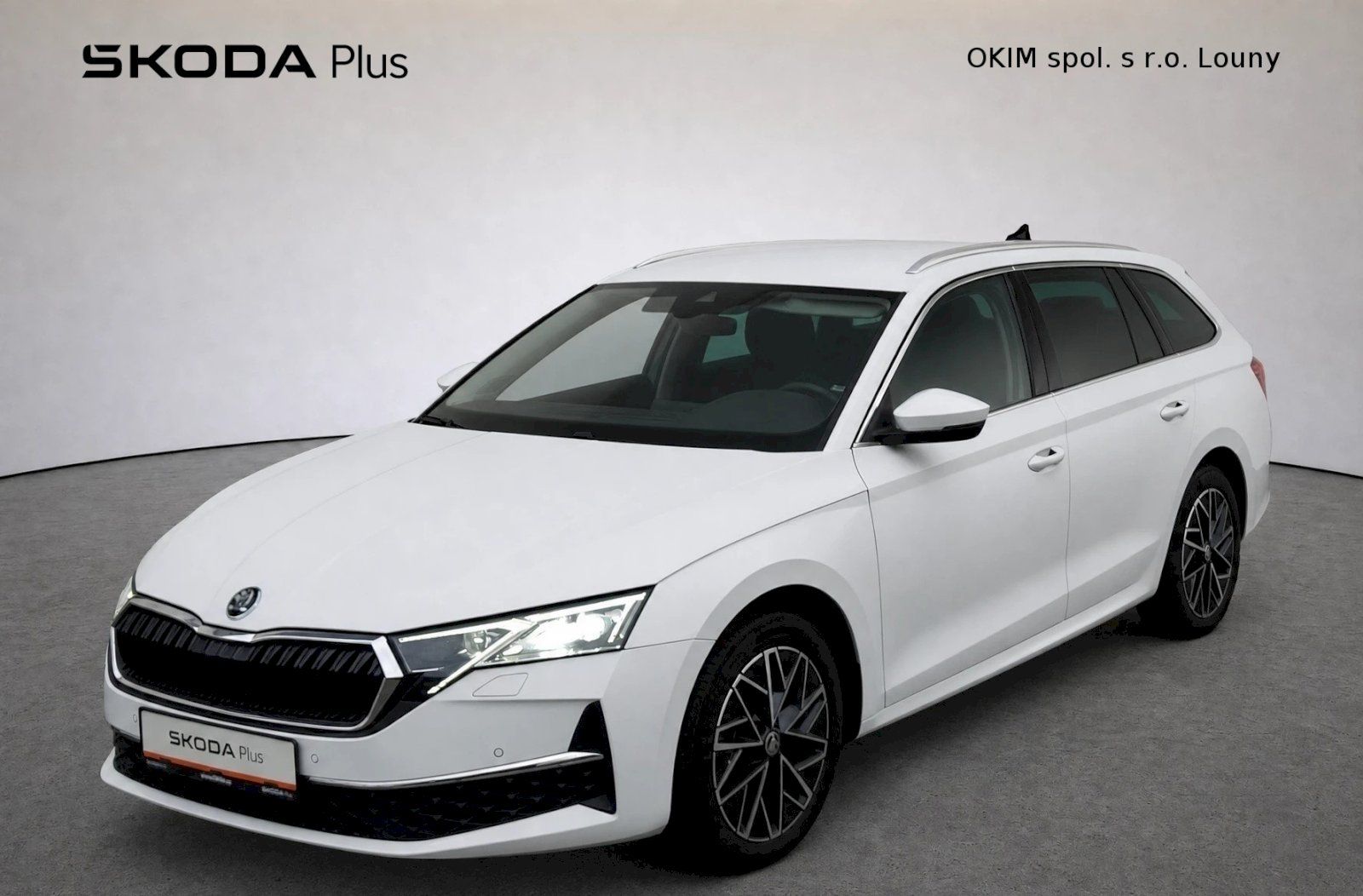Škoda Octavia, combi Top Selection  2,0 Tdi 1