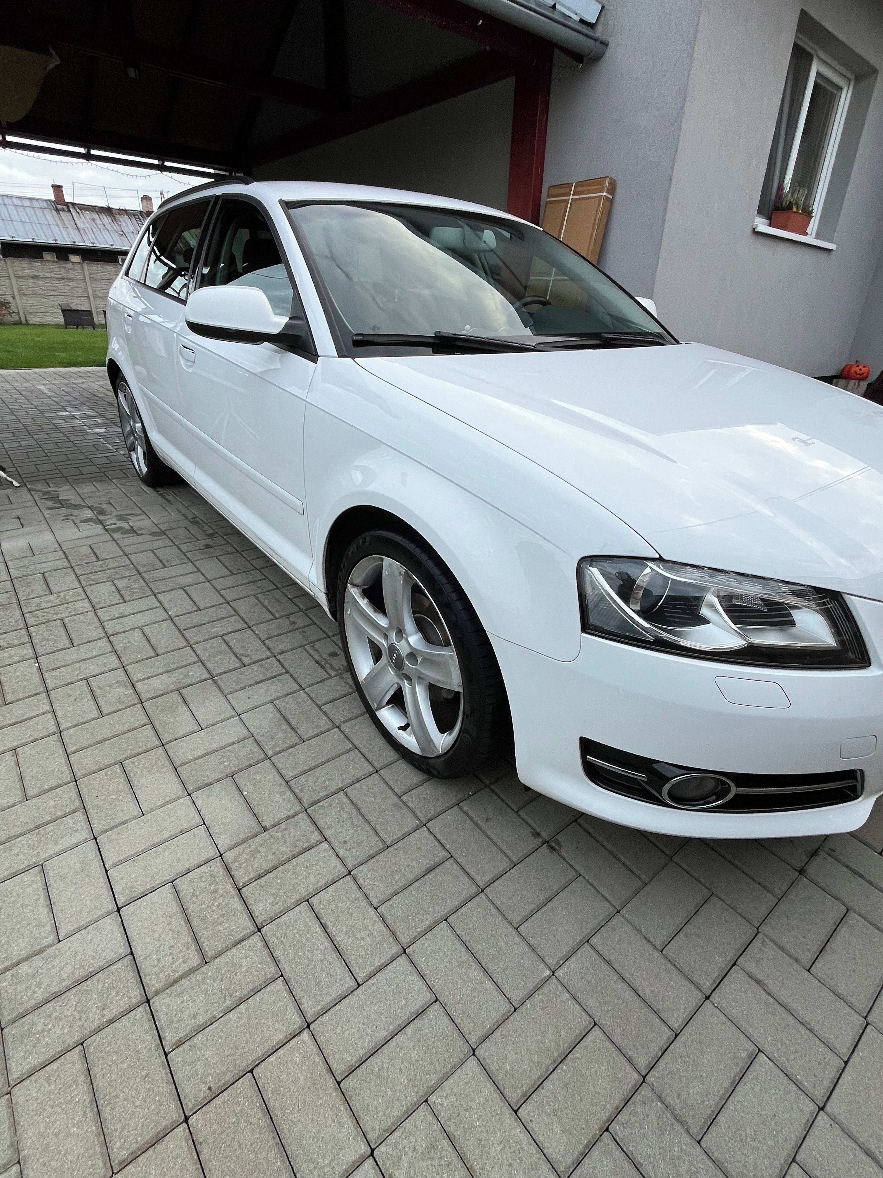 Audi A3, Audi A3 1.2 TFSI (77 kW) - fotka 4