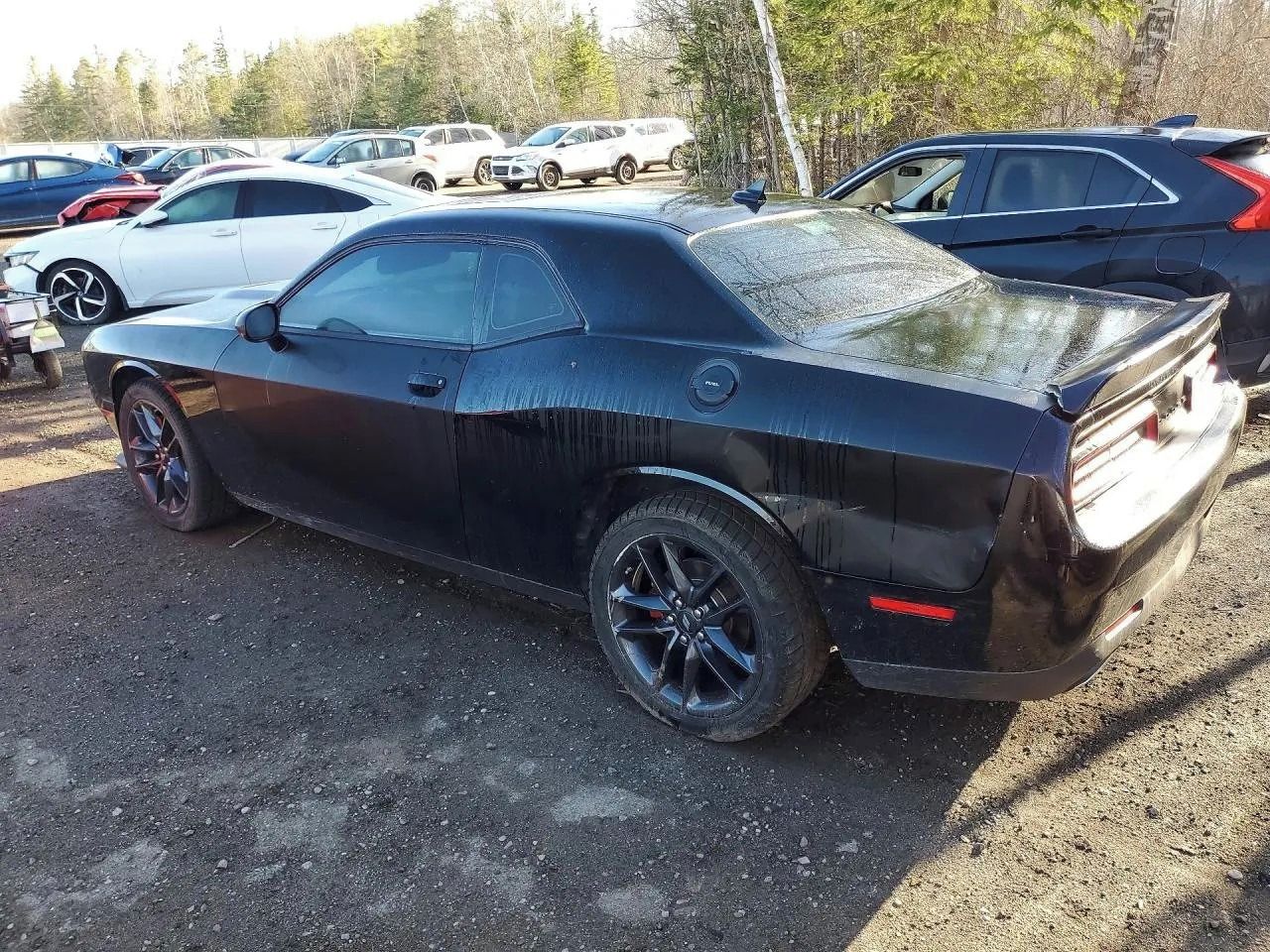 Dodge Challenger, Auto na cestě - fotka 3
