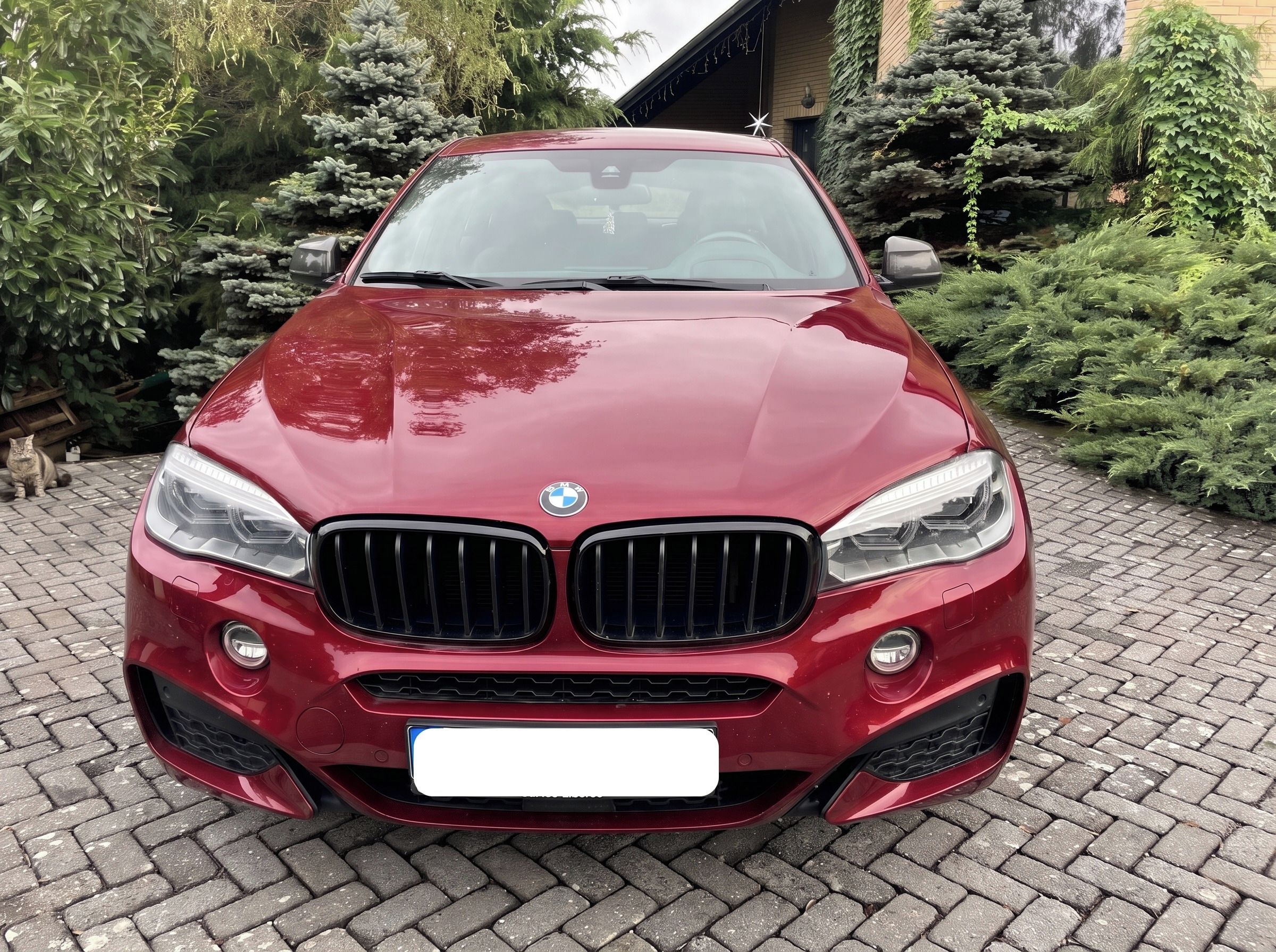BMW X6, xDrive30d, M Paket - fotka 2