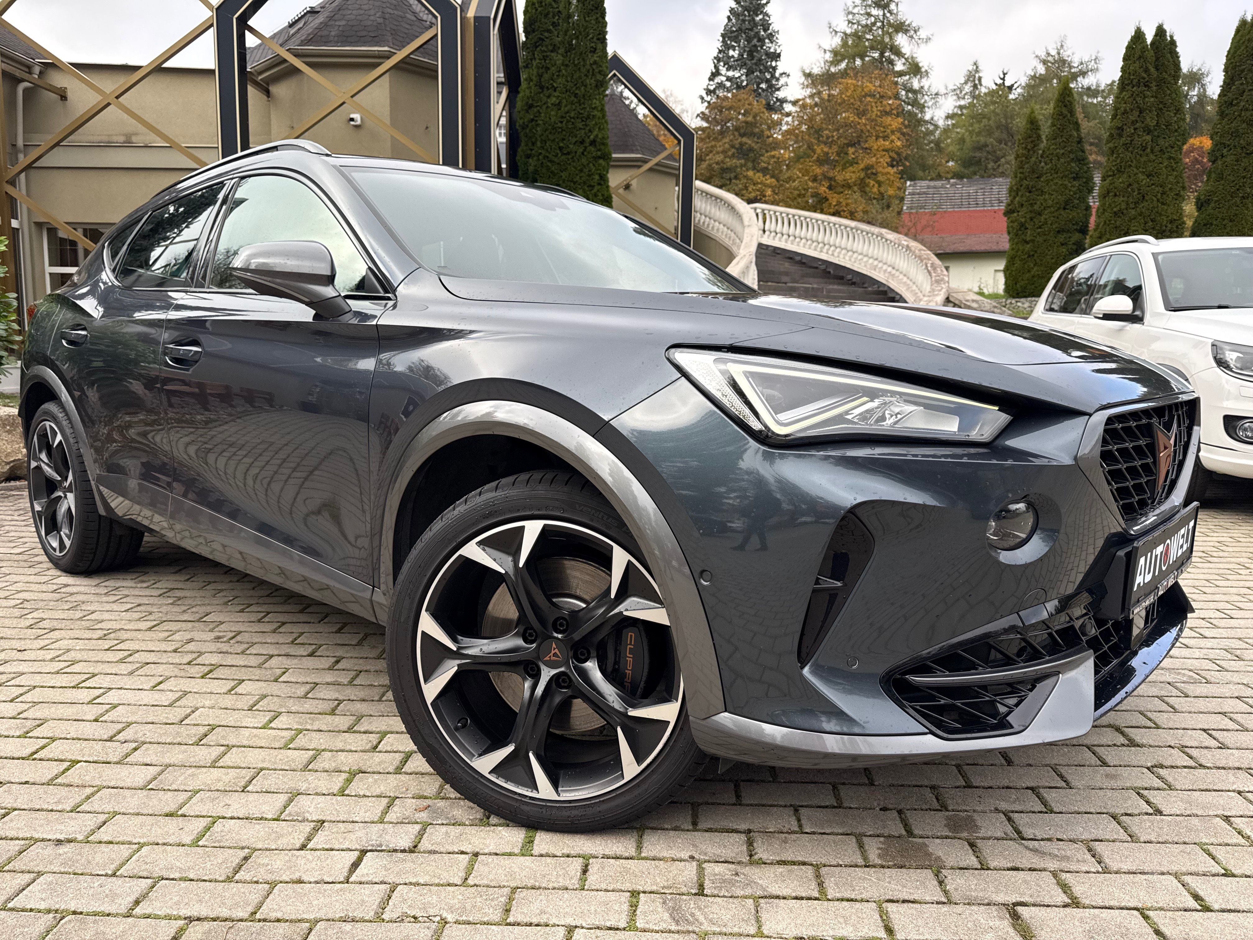 Cupra Formentor, 2.0 TSi VZ 228kW 4DRIVE /2020/ - fotka 3