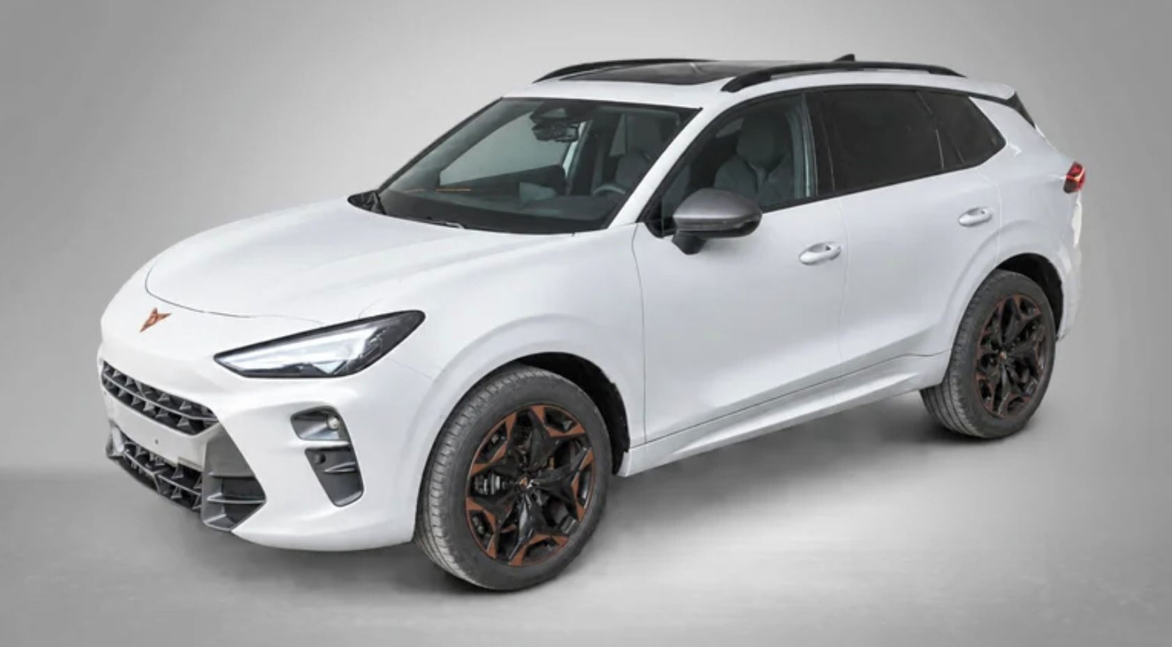 Cupra Terramar, VZ 2.0 TSI 195 kW 7DSG