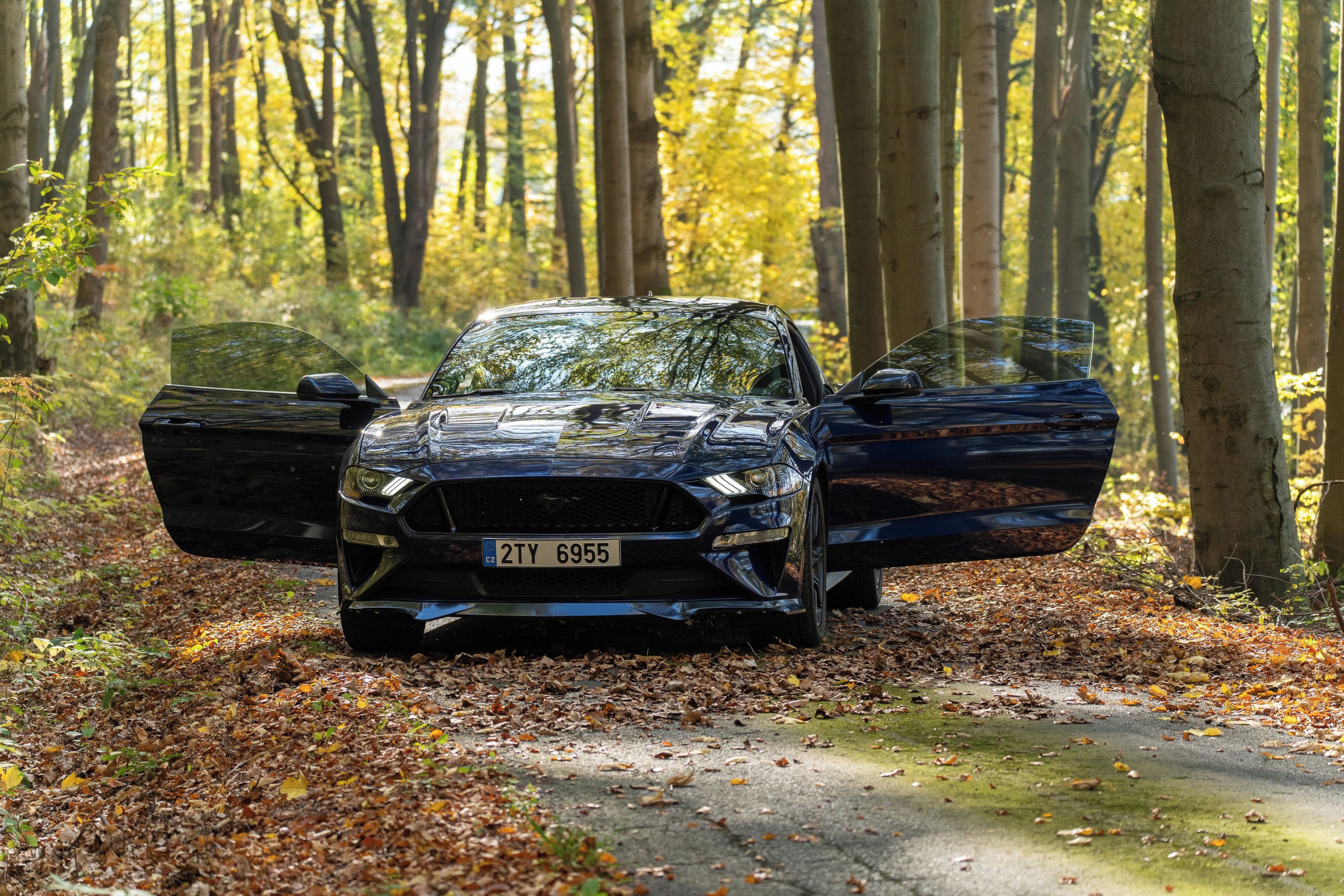 Ford Mustang, GT 5.0 V8, 55 Years, Premium - fotka 6