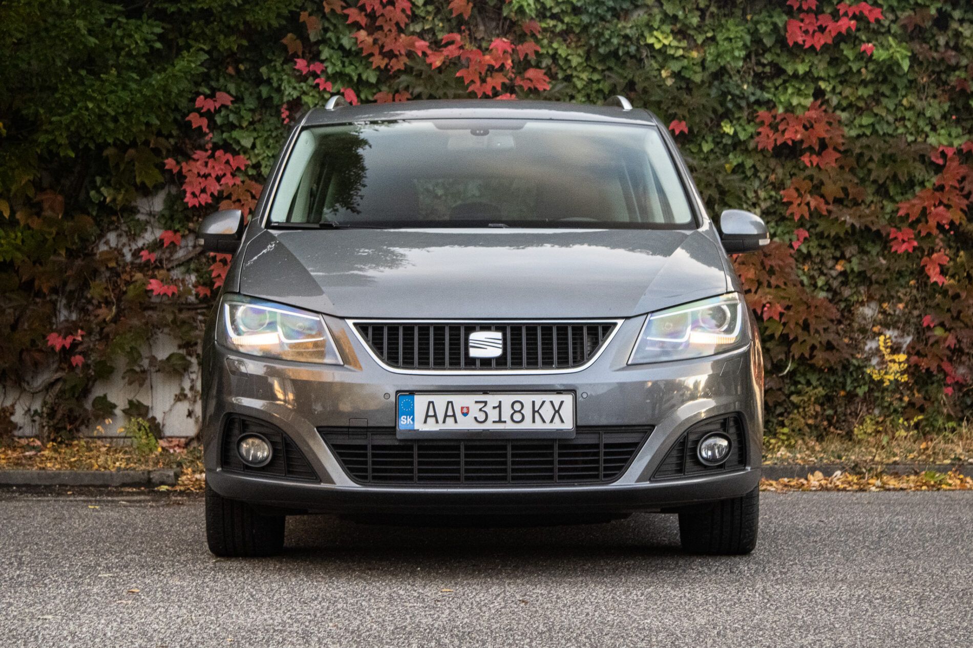 Seat Alhambra - fotka 2