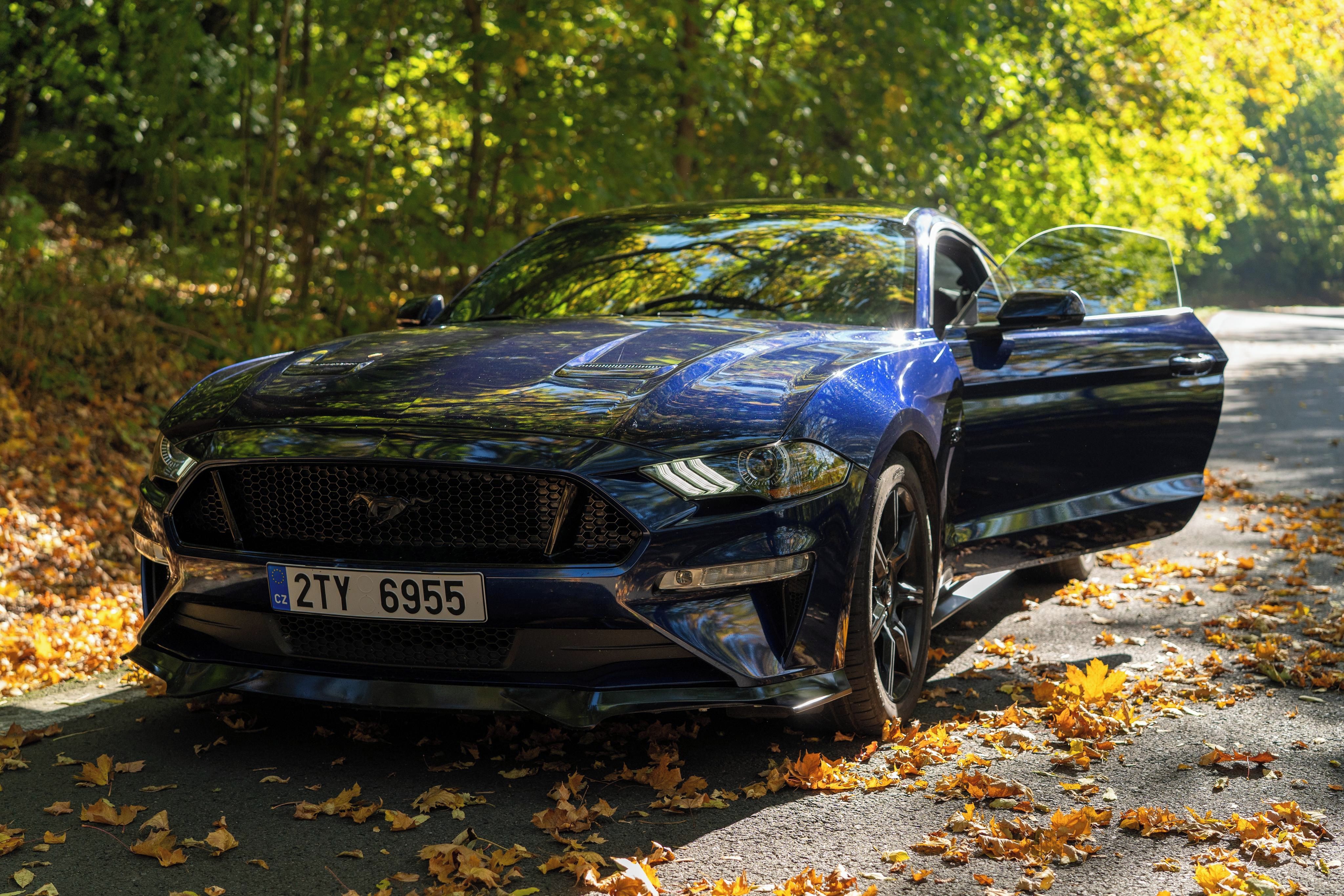 Ford Mustang, GT 5.0 V8, 55 Years, Premium