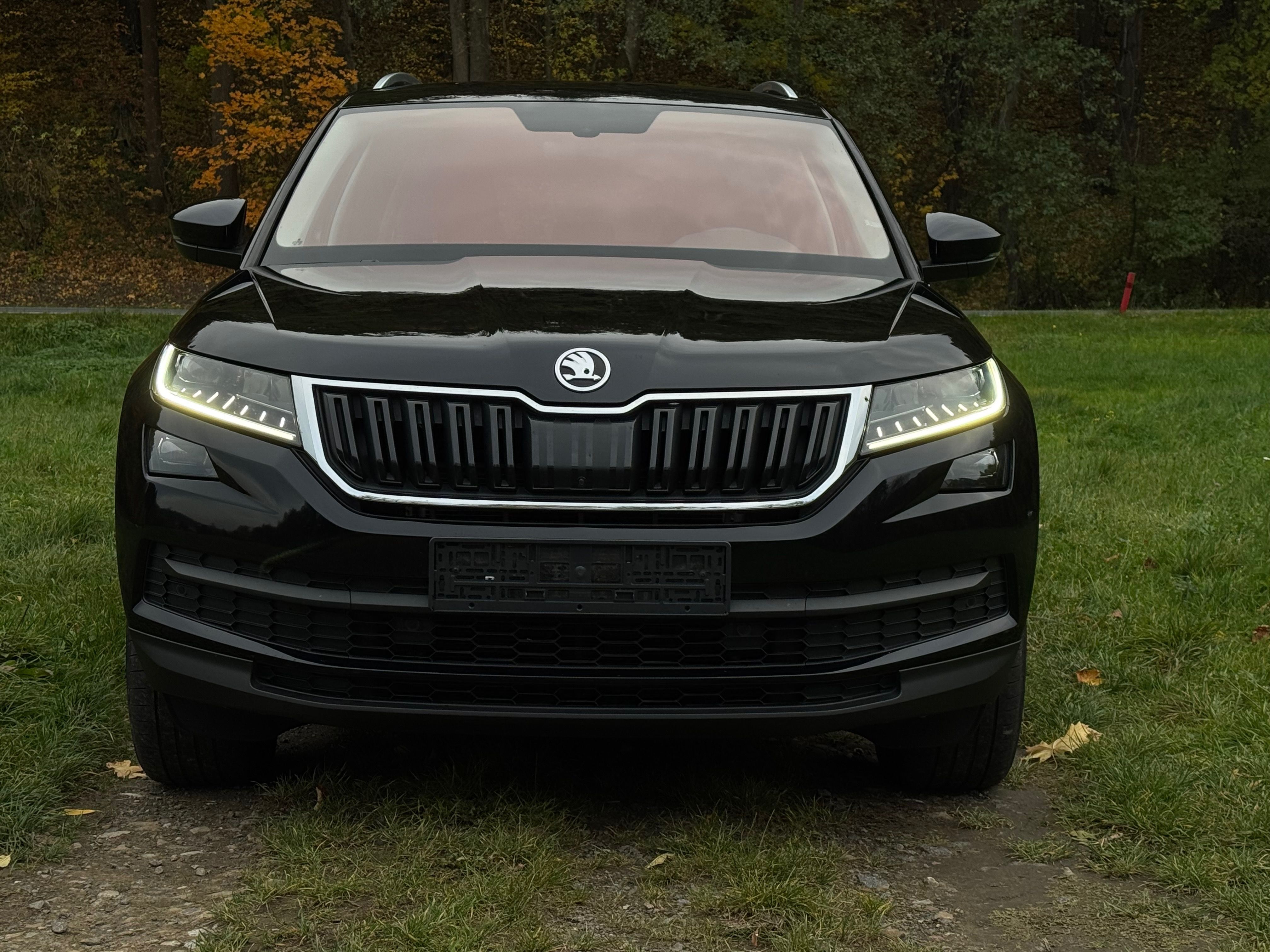 Škoda Kodiaq, 1.5TSI STYLE,110KW,DSG - fotka 2