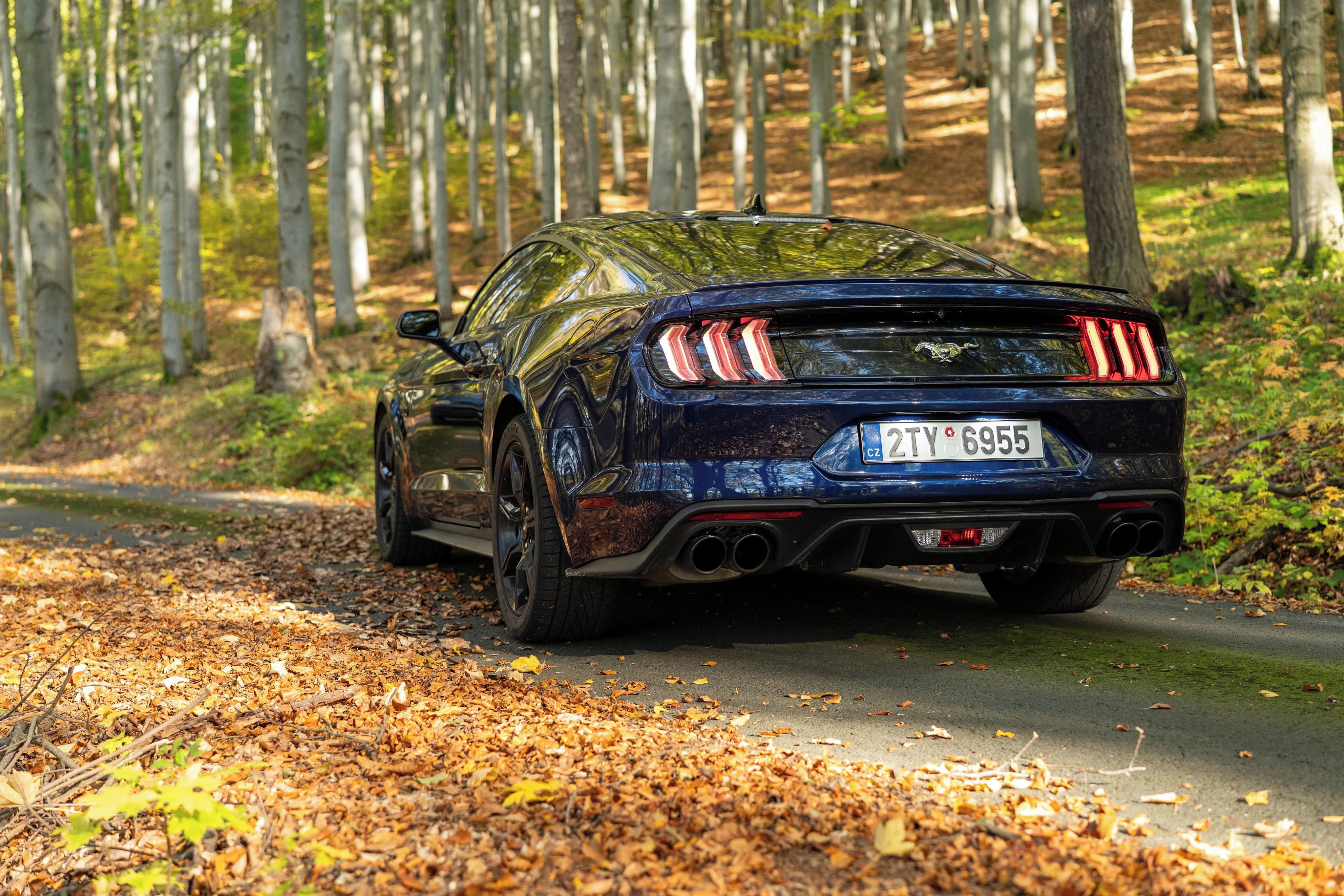 Ford Mustang, GT 5.0 V8, 55 Years, Premium - fotka 3