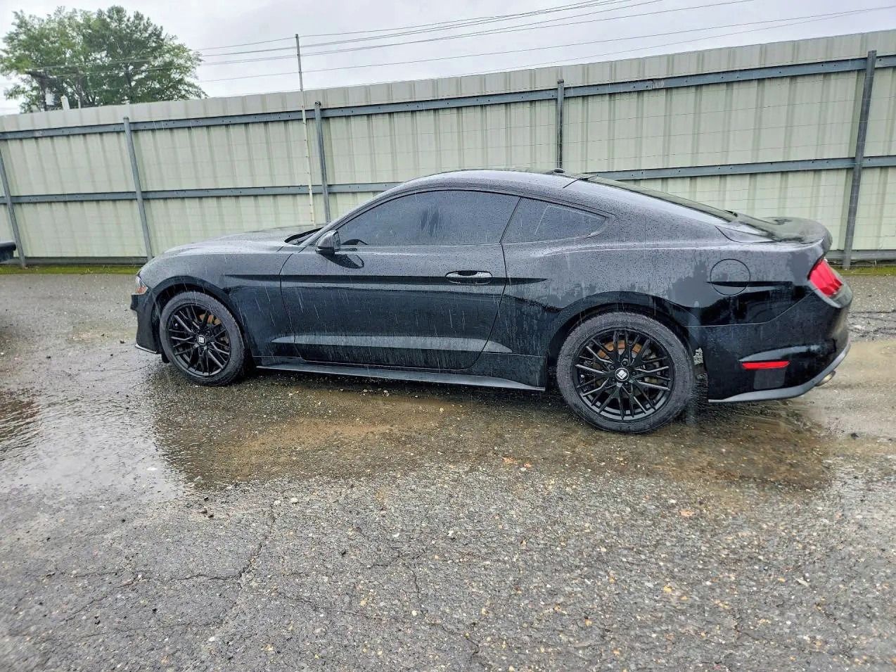 Ford Mustang, Auto na cestě - fotka 3