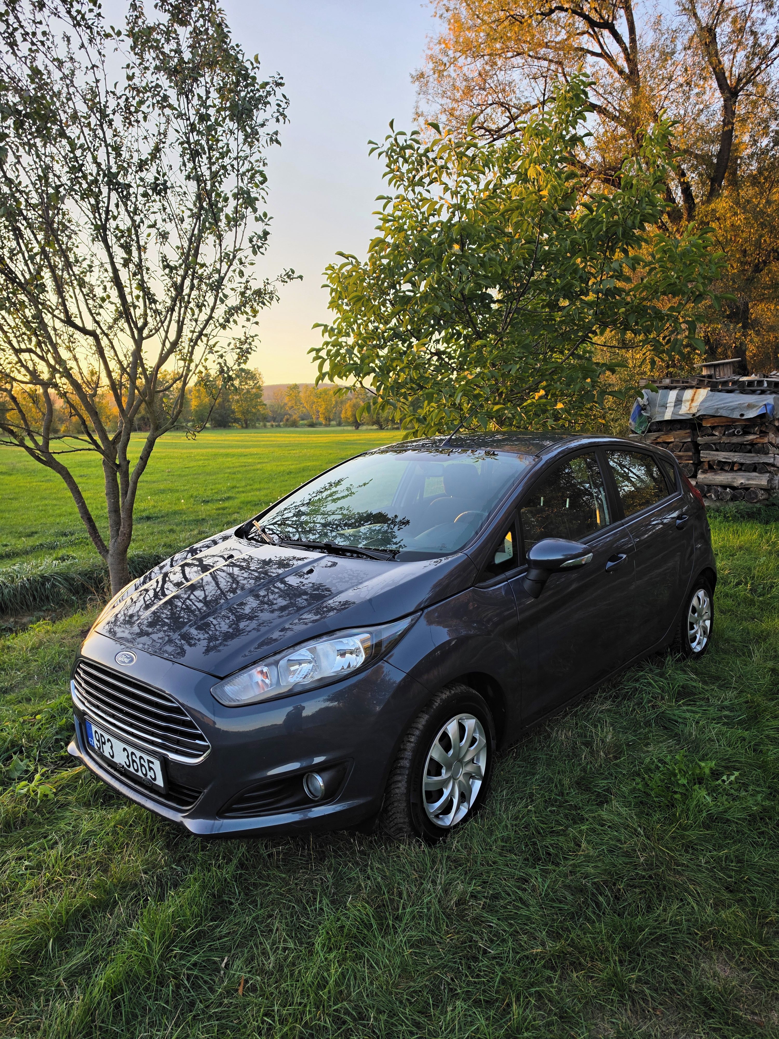 Ford Fiesta, 1.0. EcoBoost, servisováno - fotka 2