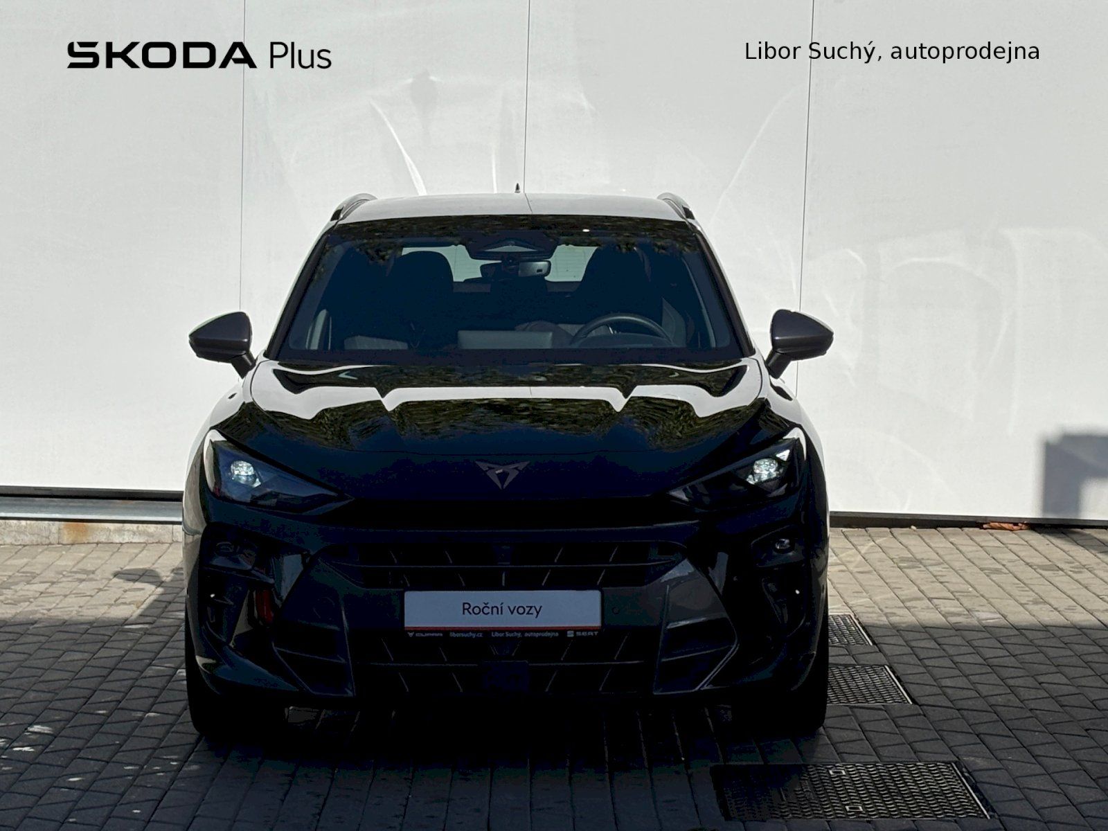 Cupra Terramar, 2.0 TSI 150 kW DSG 4WD - fotka 4