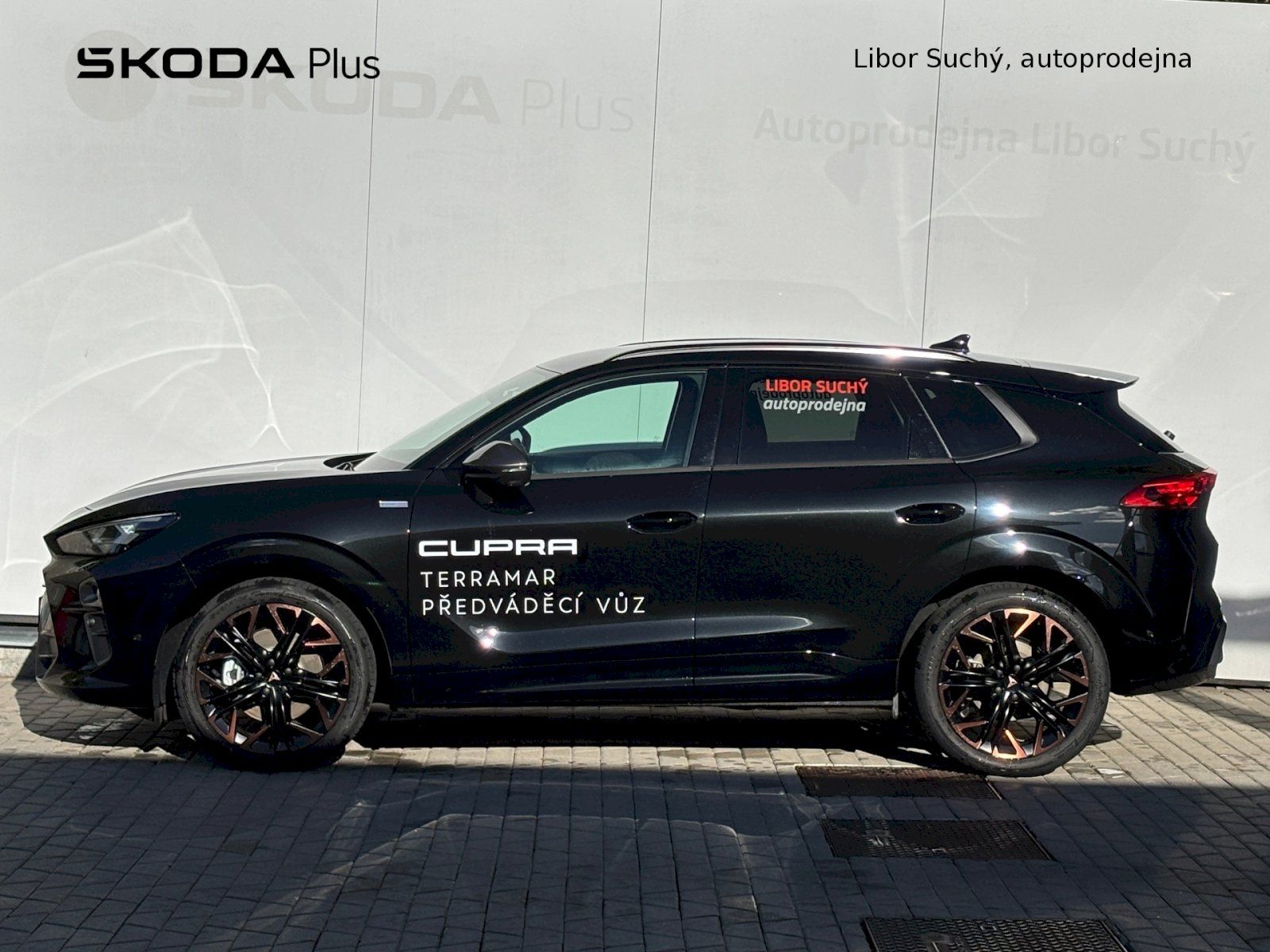 Cupra Terramar, 2.0 TSI 150 kW DSG 4WD - fotka 3