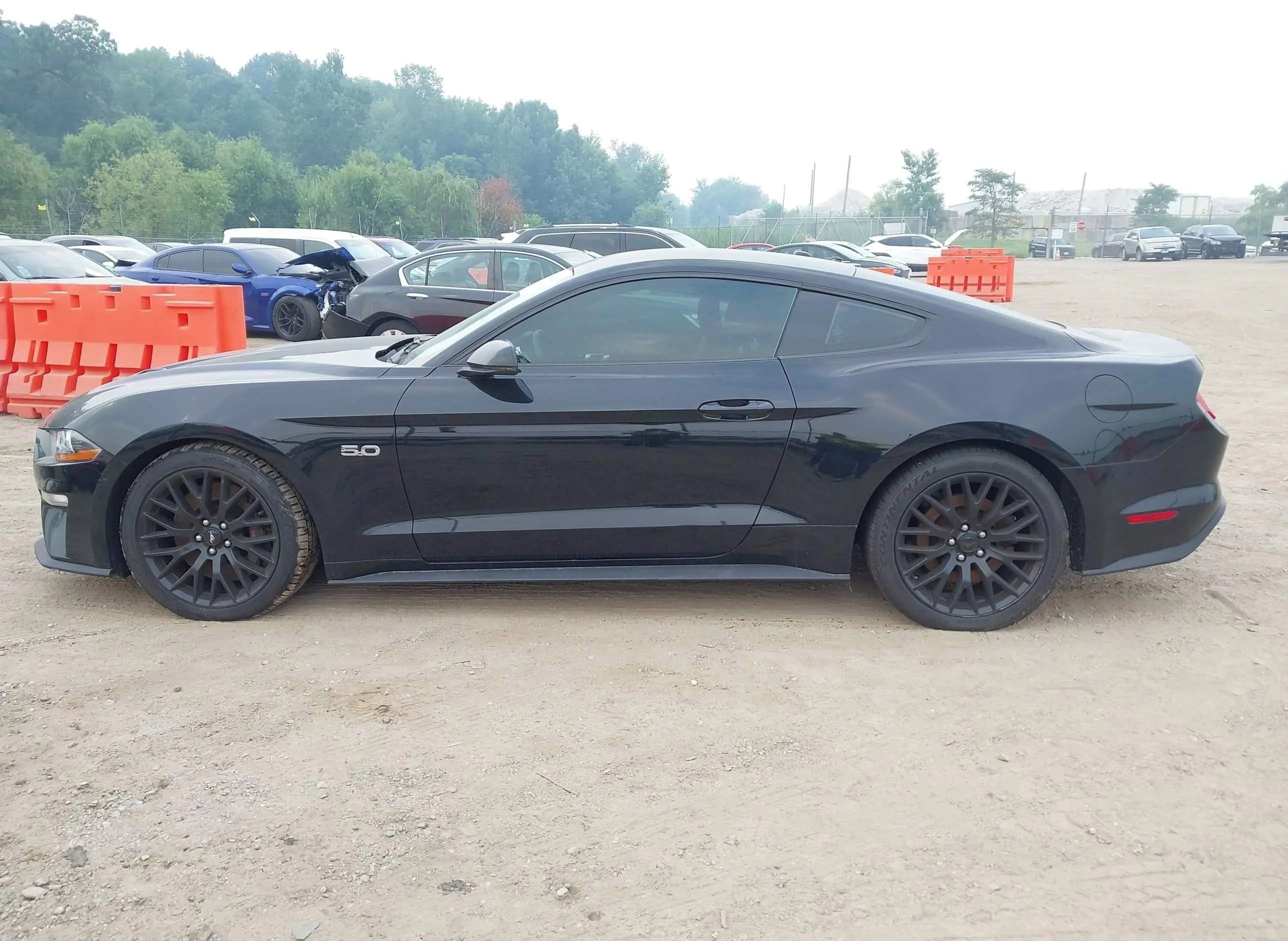 Ford Mustang, Auto na cestě - fotka 4