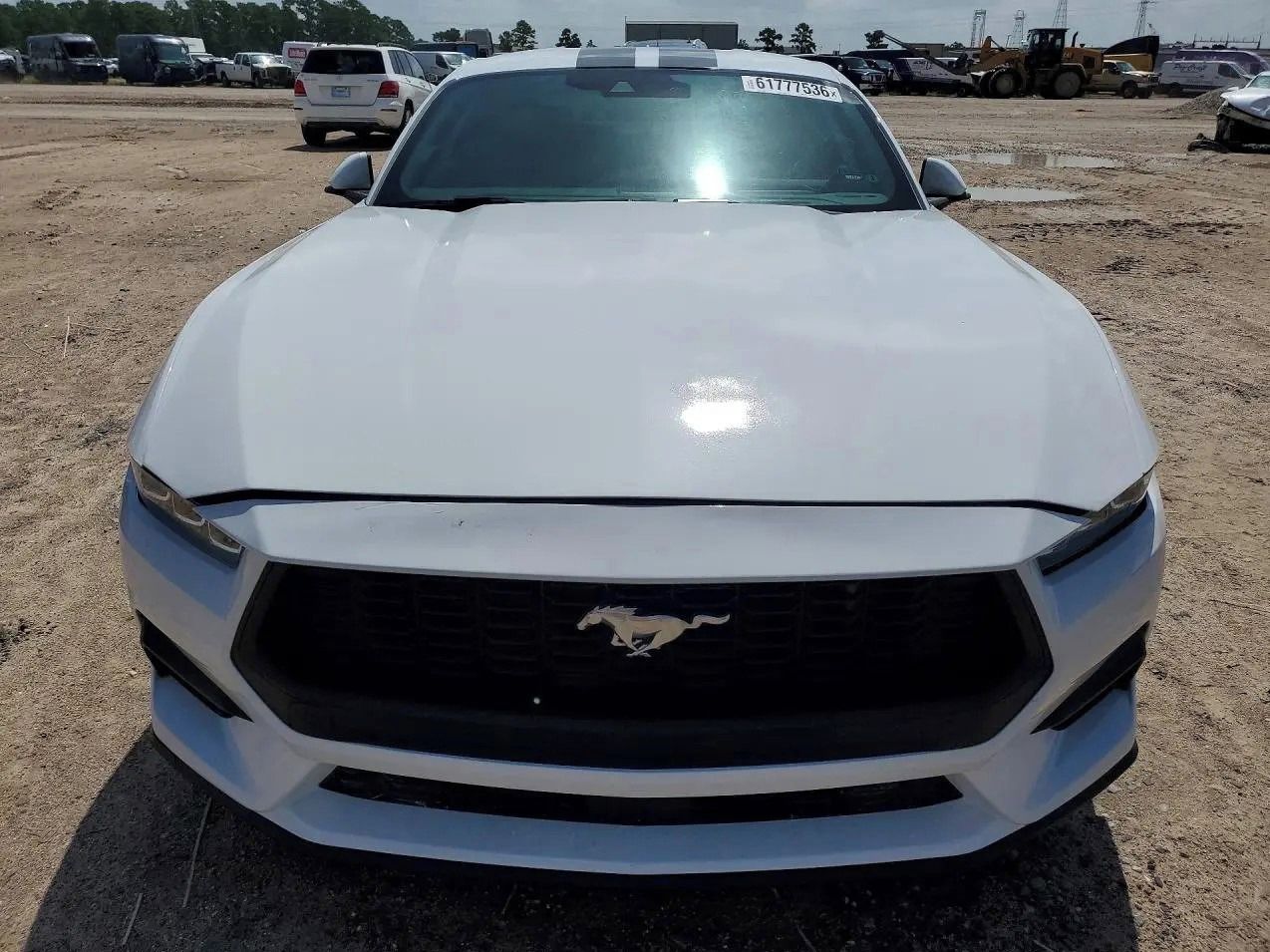 Ford Mustang, Auto na cestě - fotka 5