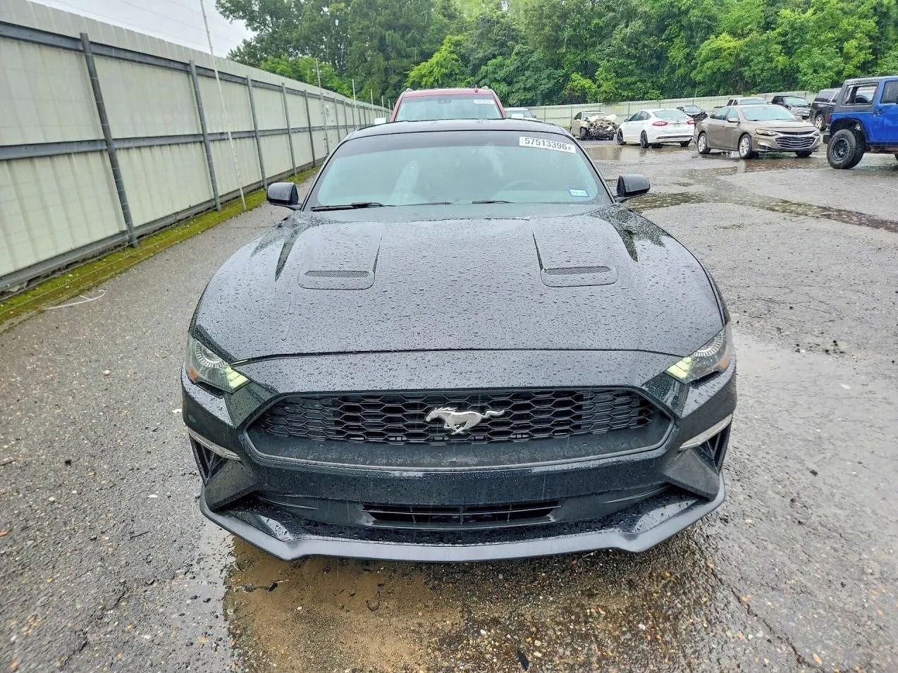 Ford Mustang, Auto na cestě - fotka 5