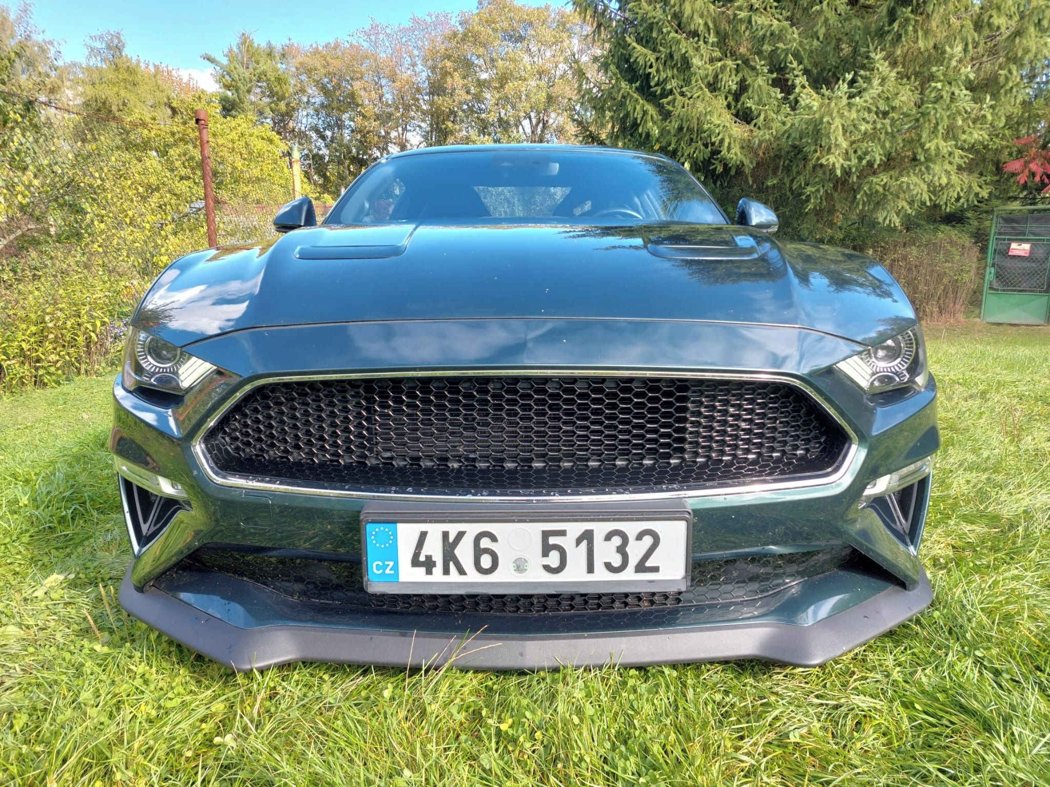 Ford Mustang - fotka 5