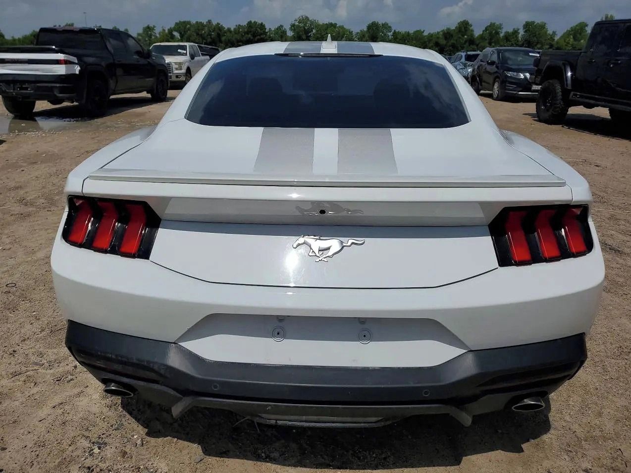 Ford Mustang, Auto na cestě - fotka 6