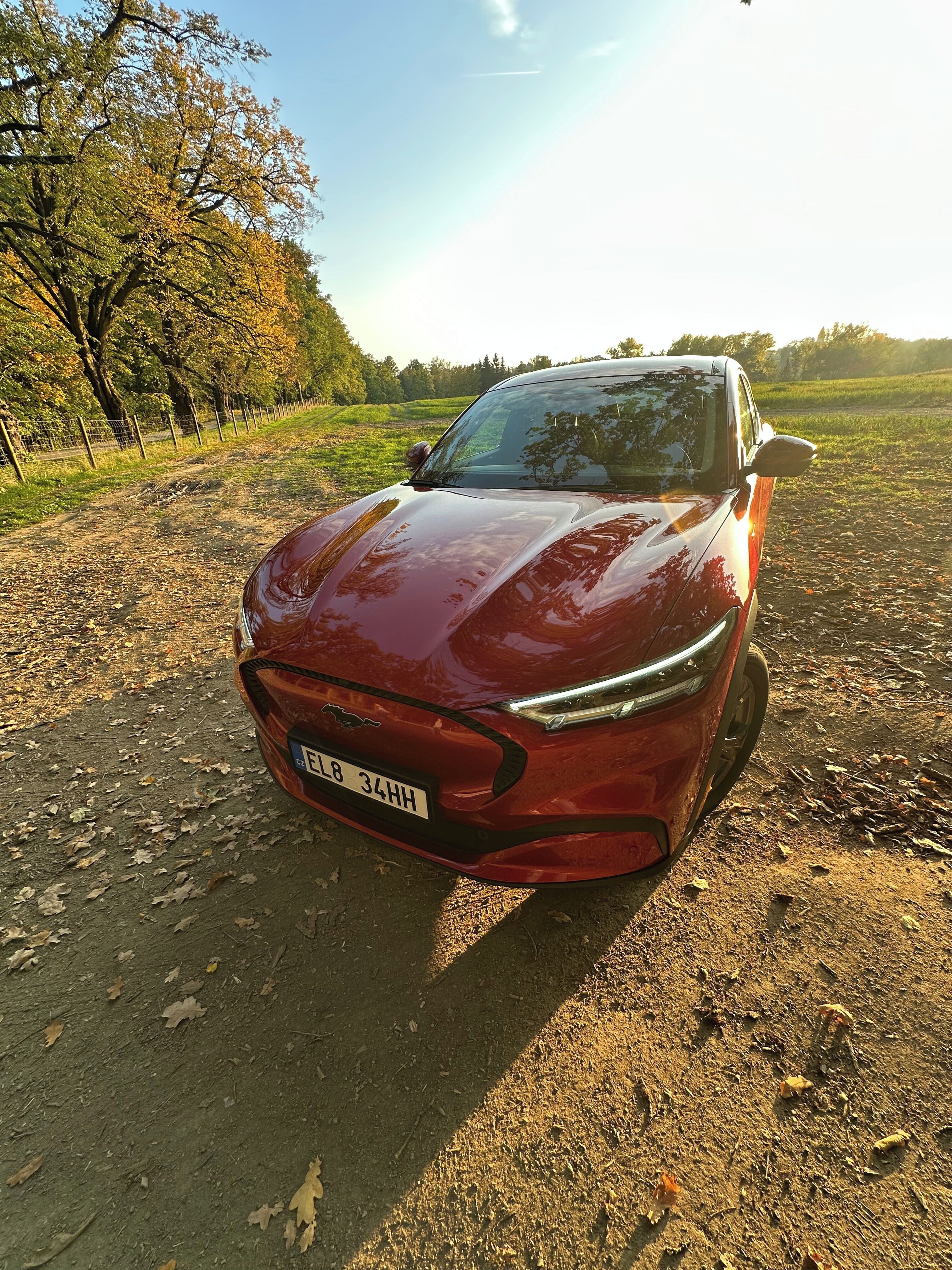 Ford Mustang Mach-E, Standard RWD 92% Tech Packet - fotka 5