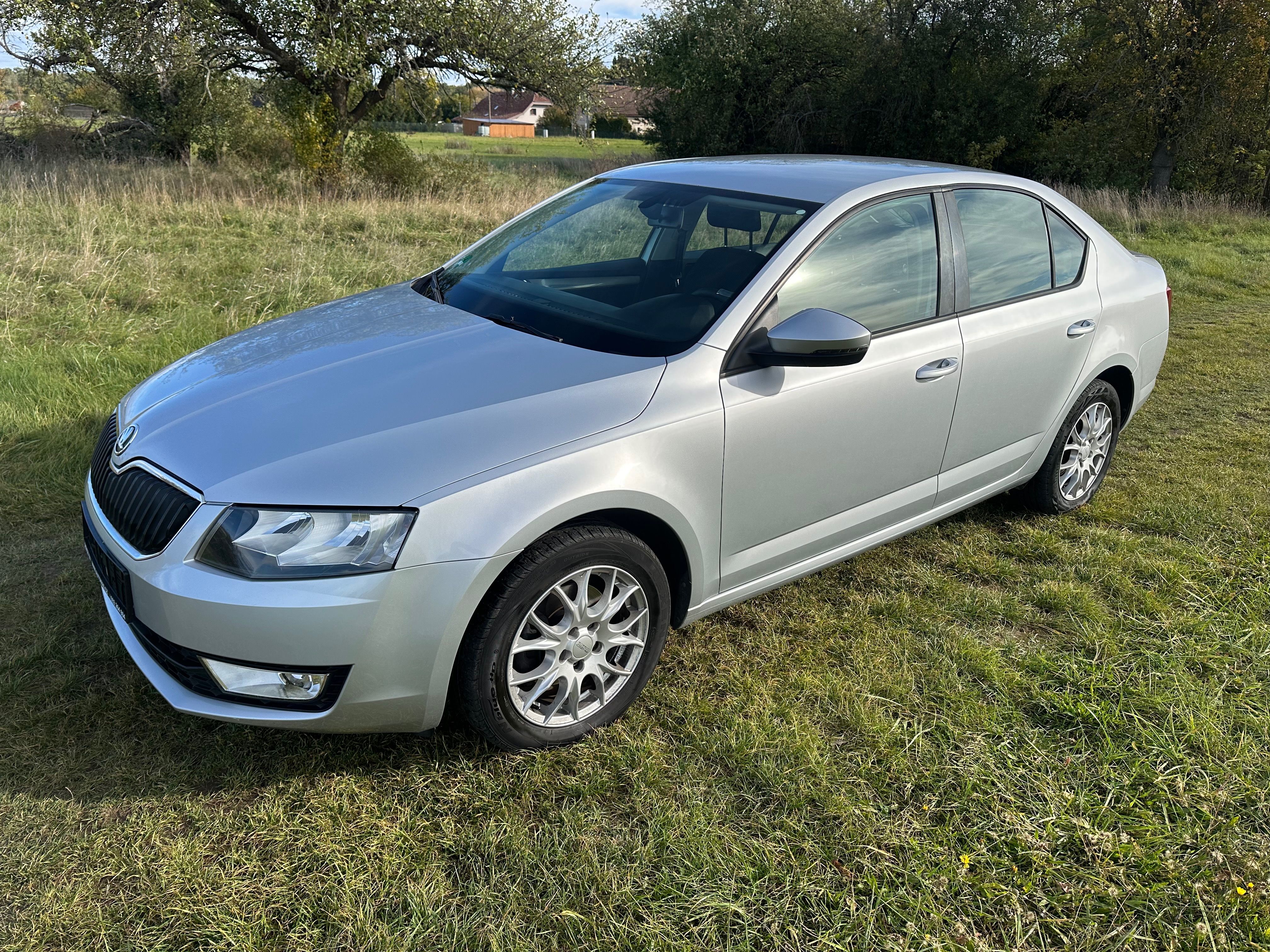 Škoda Octavia, 1.4TSI-103KW-ROZVODY ŘEMEN - fotka 3