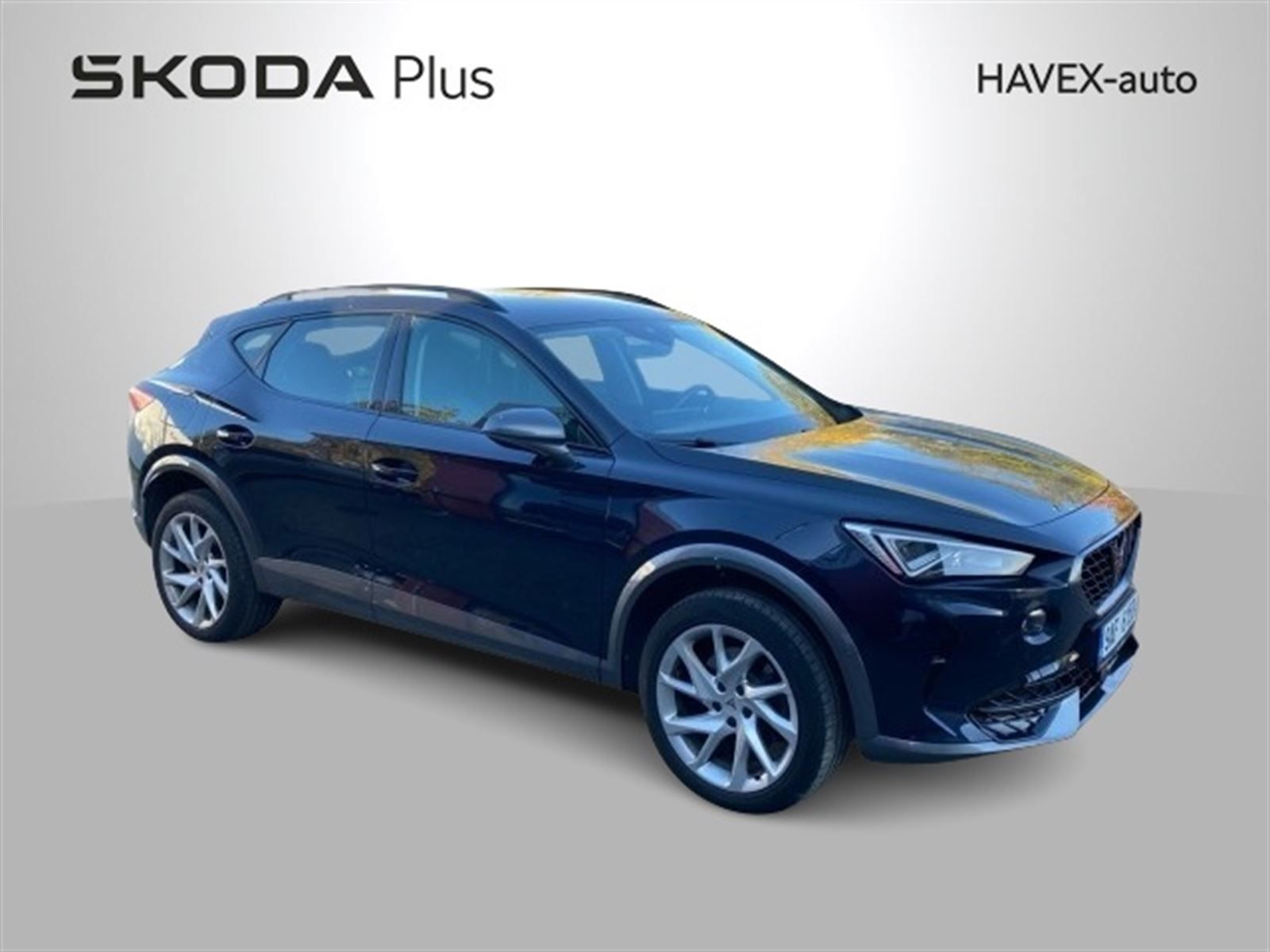 Cupra Formentor, 2.0 TDI