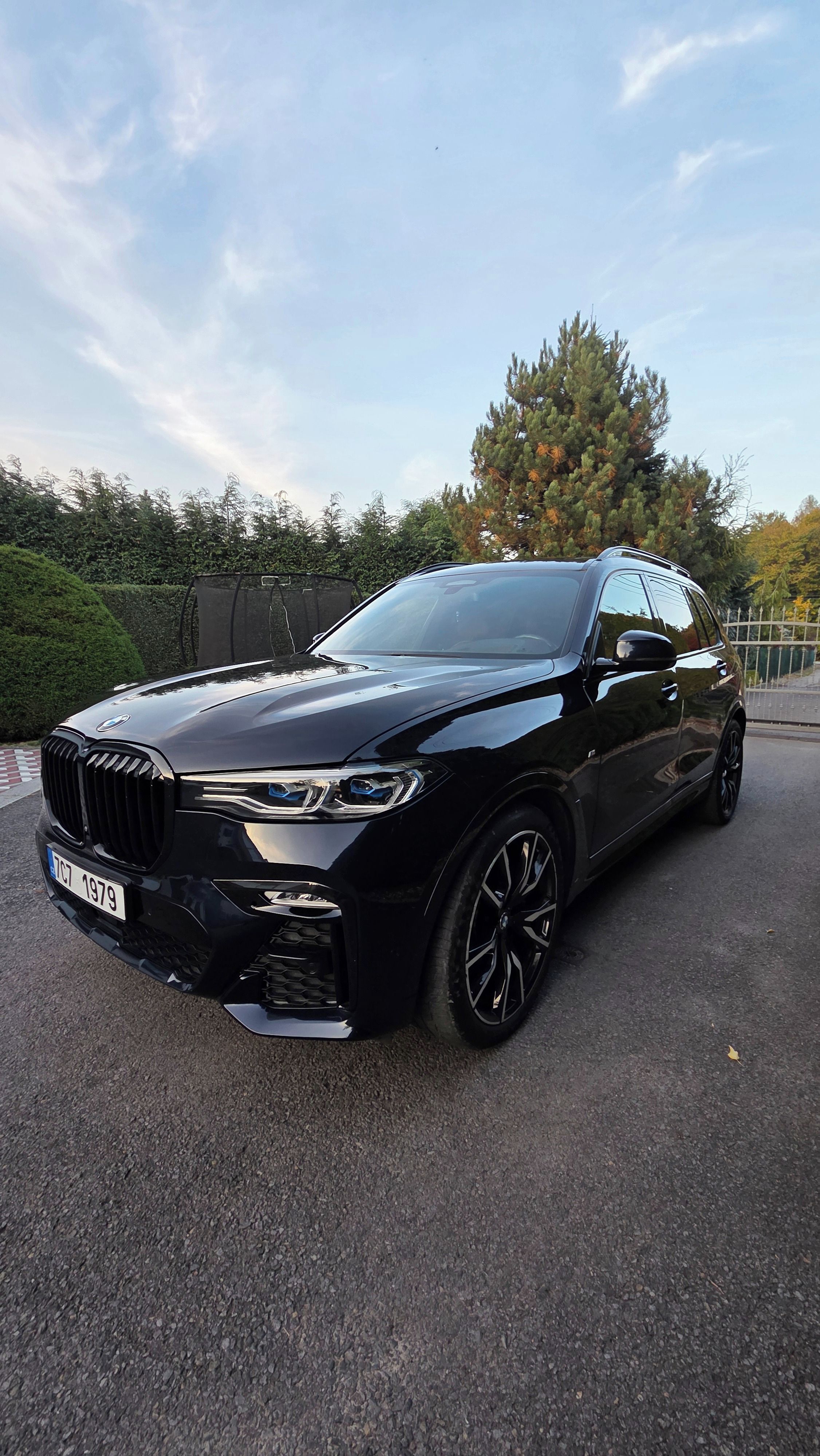BMW X7, BMW X7 G7X XDRIVE 3I - fotka 6