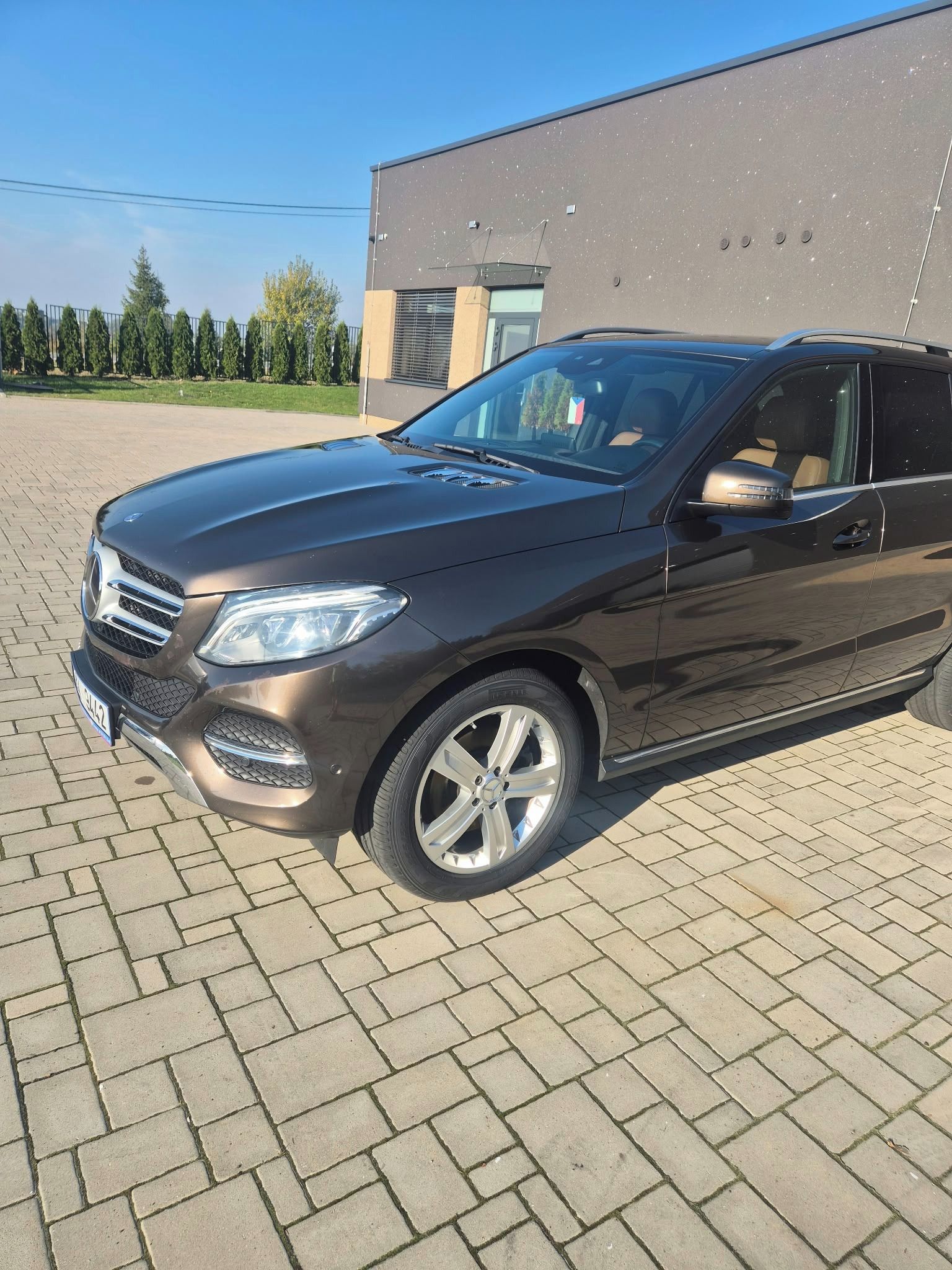 Mercedes-Benz GLE, 300 D - fotka 5