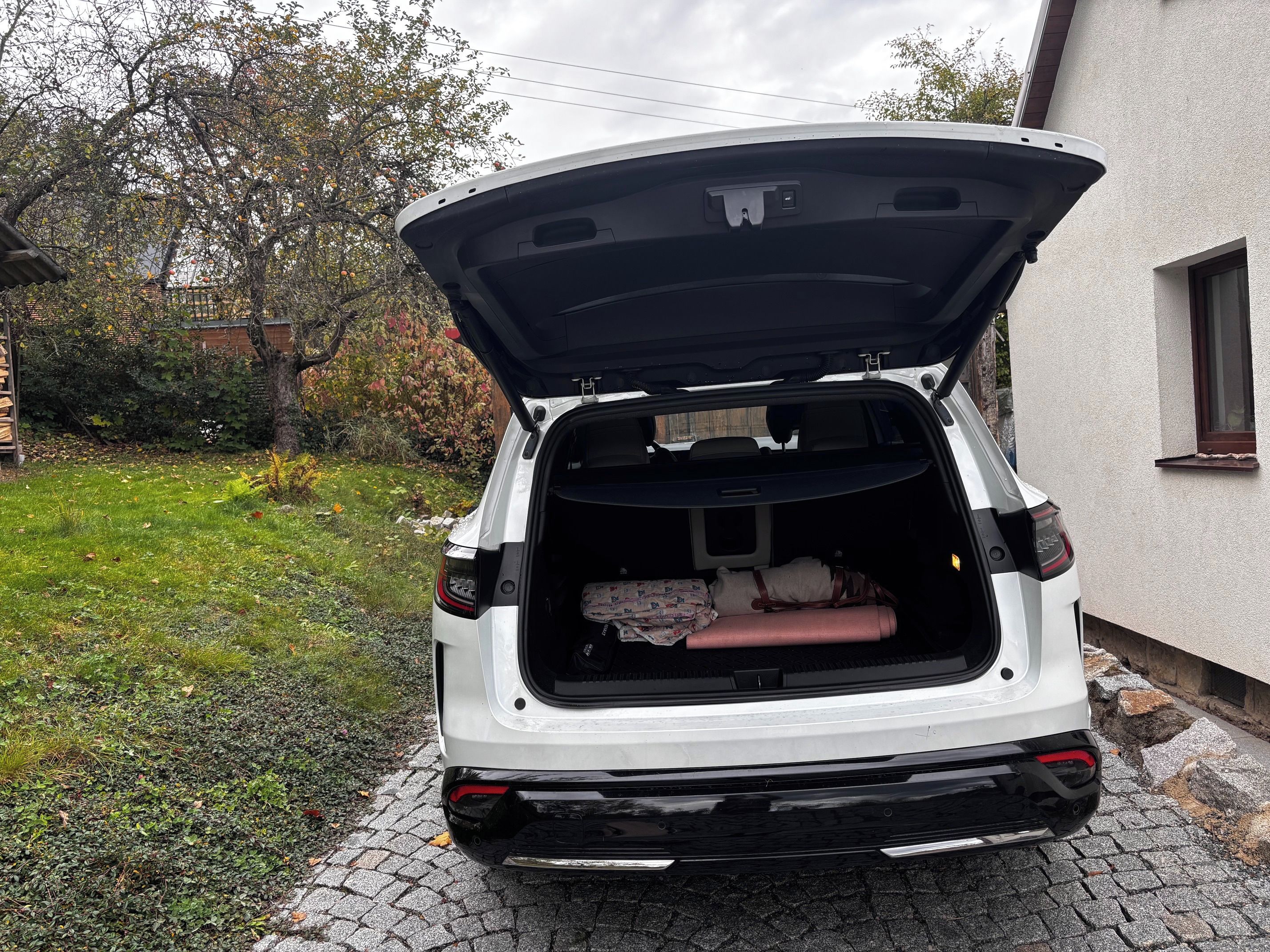 Renault Espace, servisováno