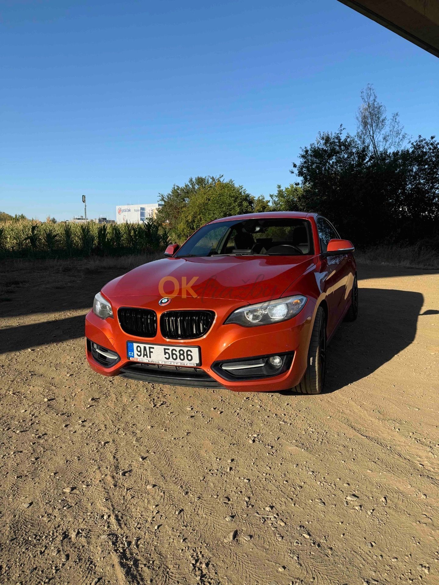 BMW Řada 2, BMW 230i