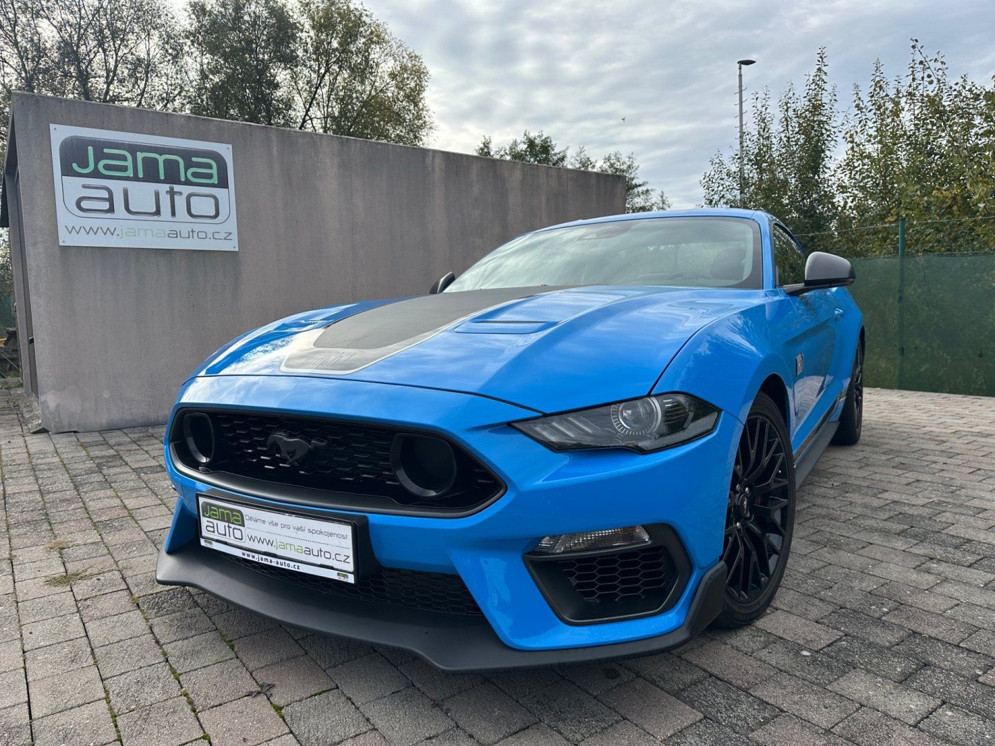Ford Mustang, 5,0l 8V 338kW MACH 1 1.MAJITEL - fotka 2
