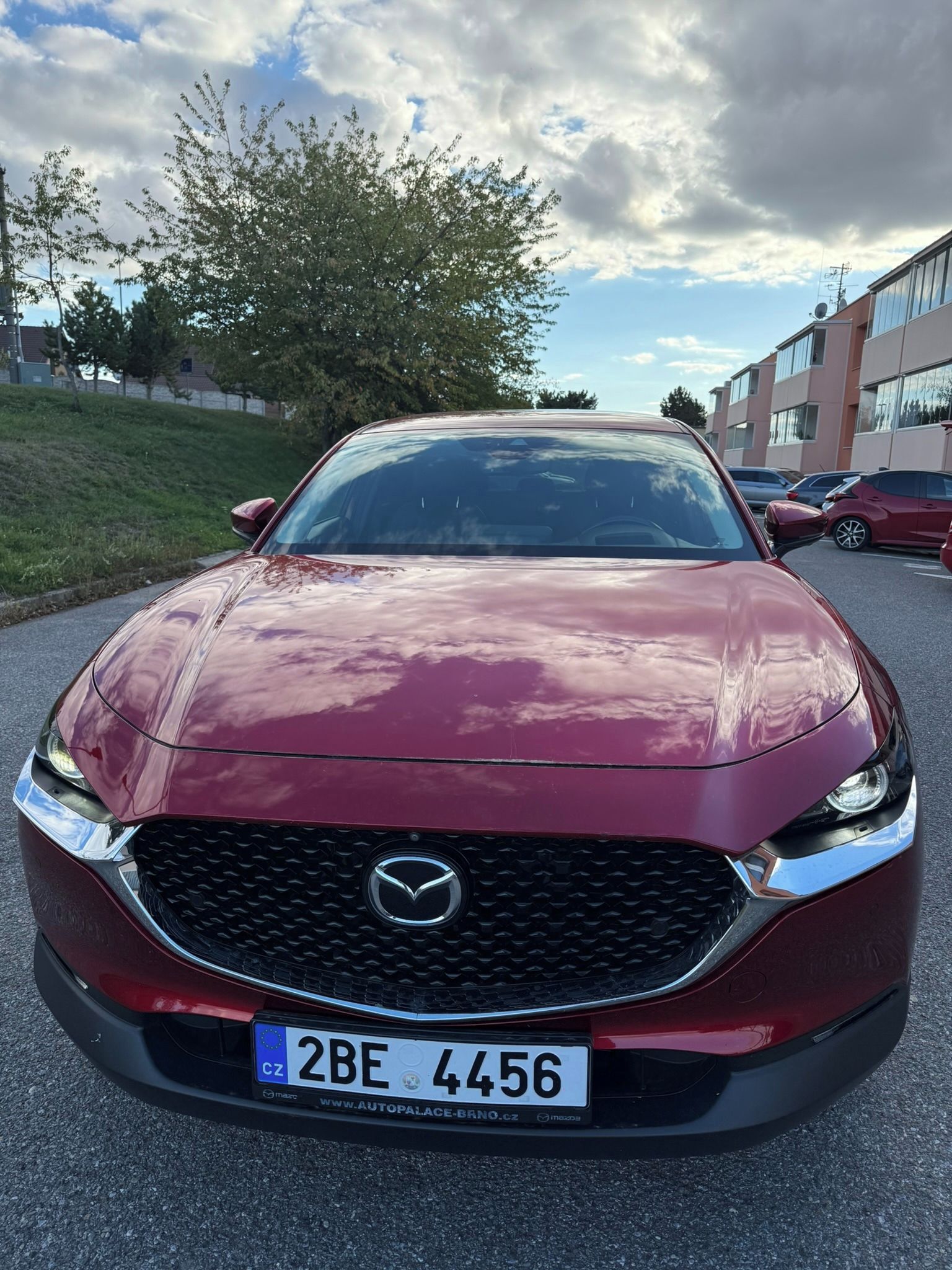 Mazda CX-30, KŮŽE,BOSE,360°,head-up - fotka 3