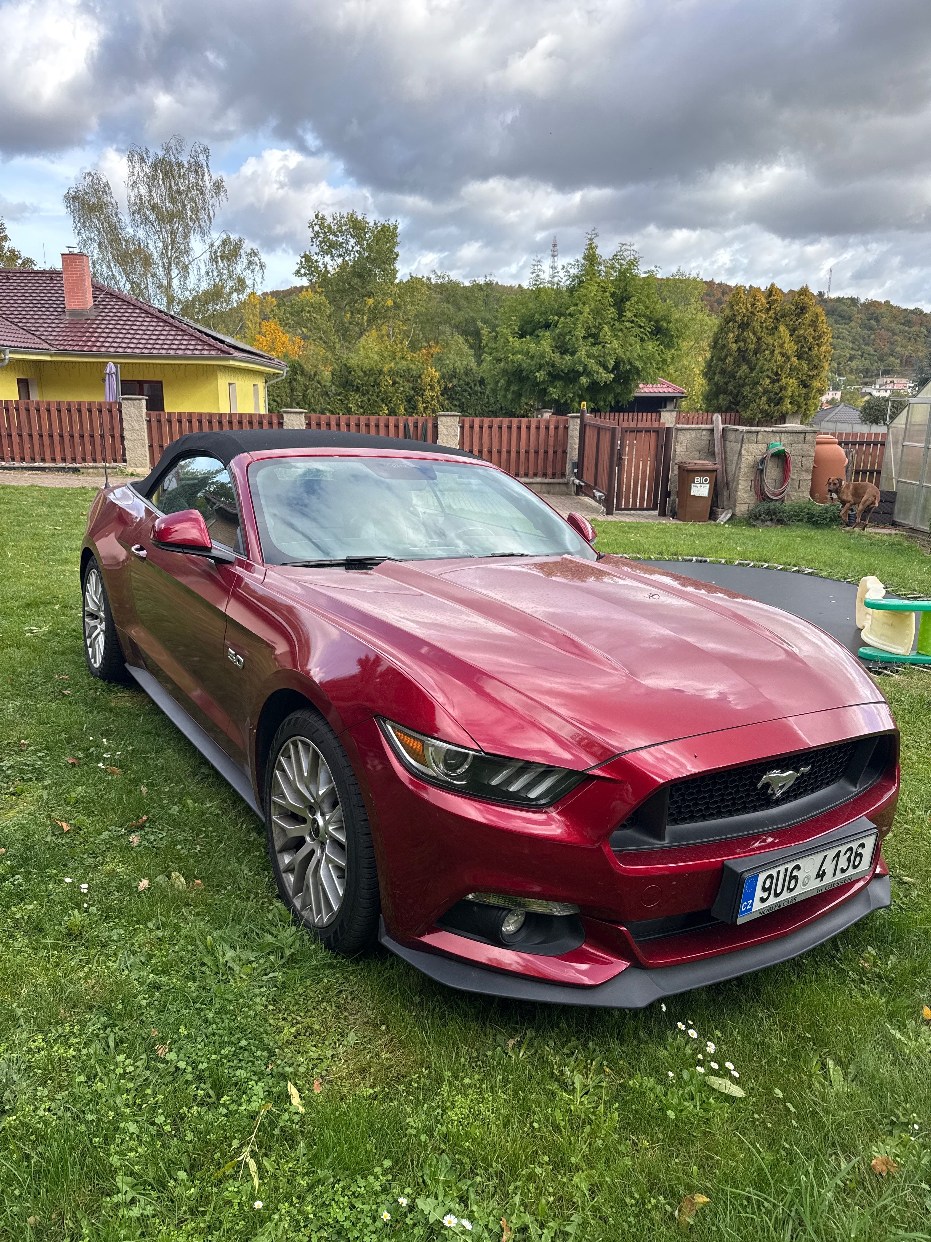 Ford Mustang, Cabrio,5v8,450hp,1.maj.