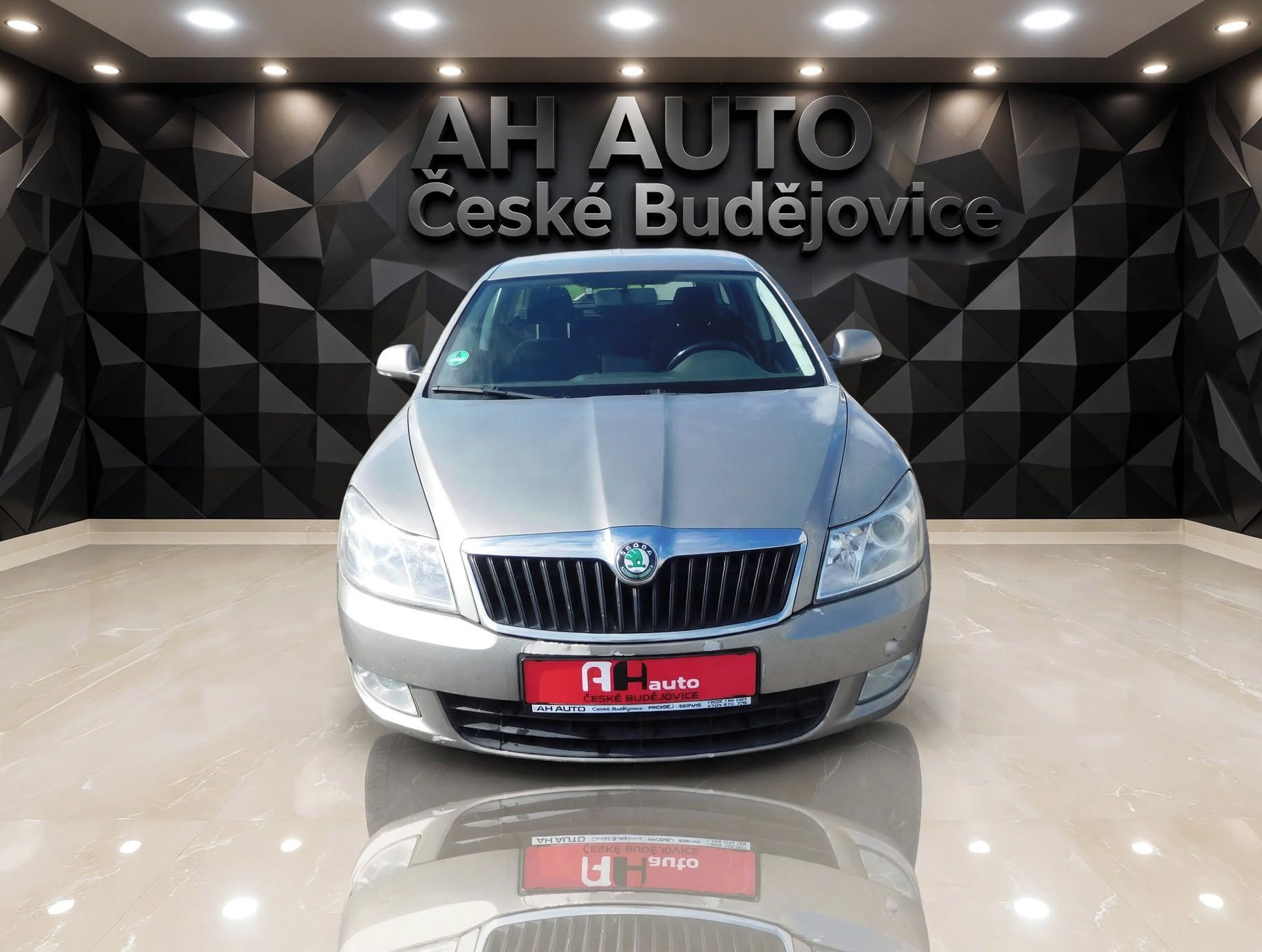 Škoda Octavia, Kombi 1.6TDi 77 kW 4X4 - fotka 6