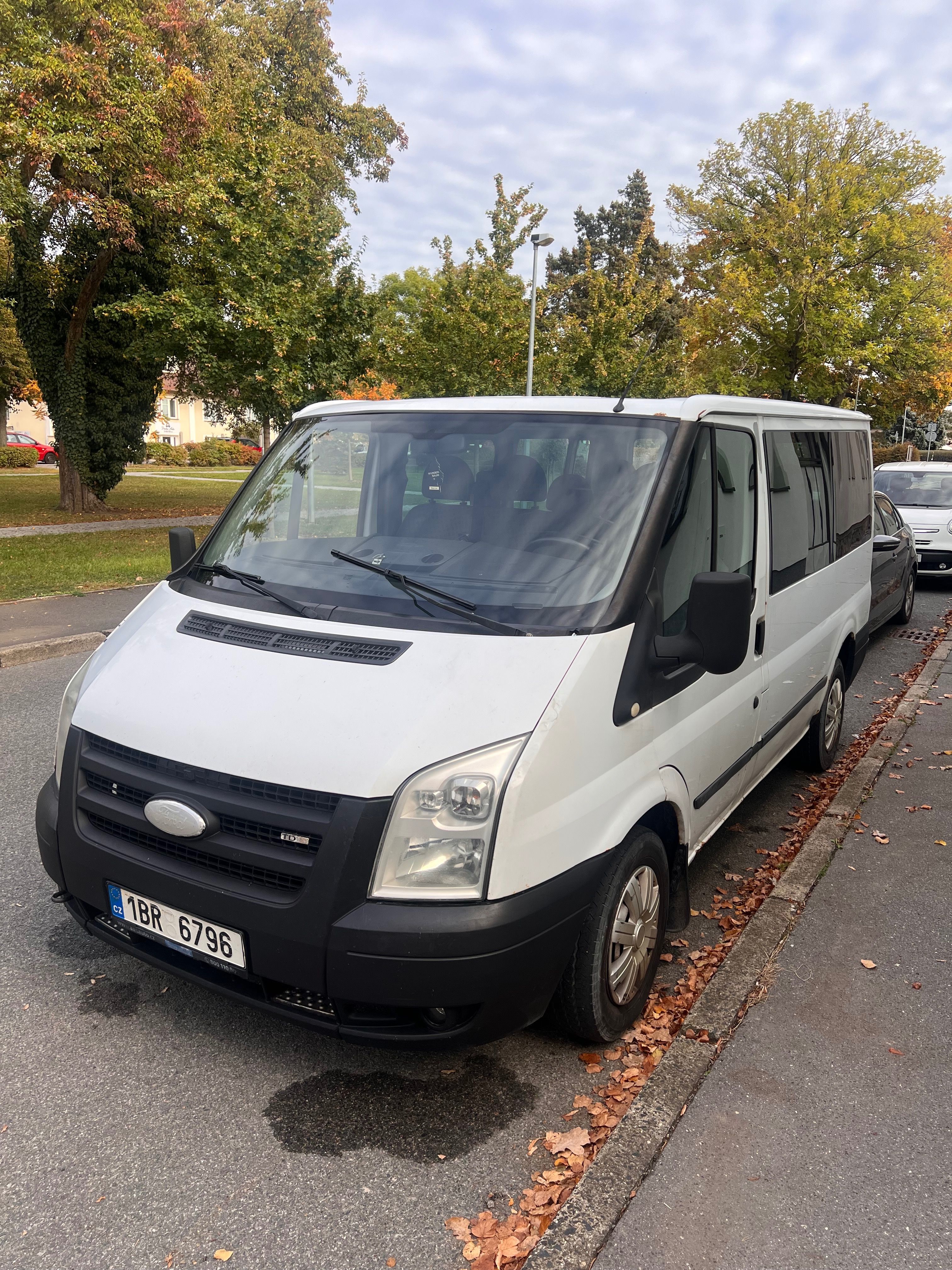 Ford Transit, 9mist STK do 9.27 - fotka 2