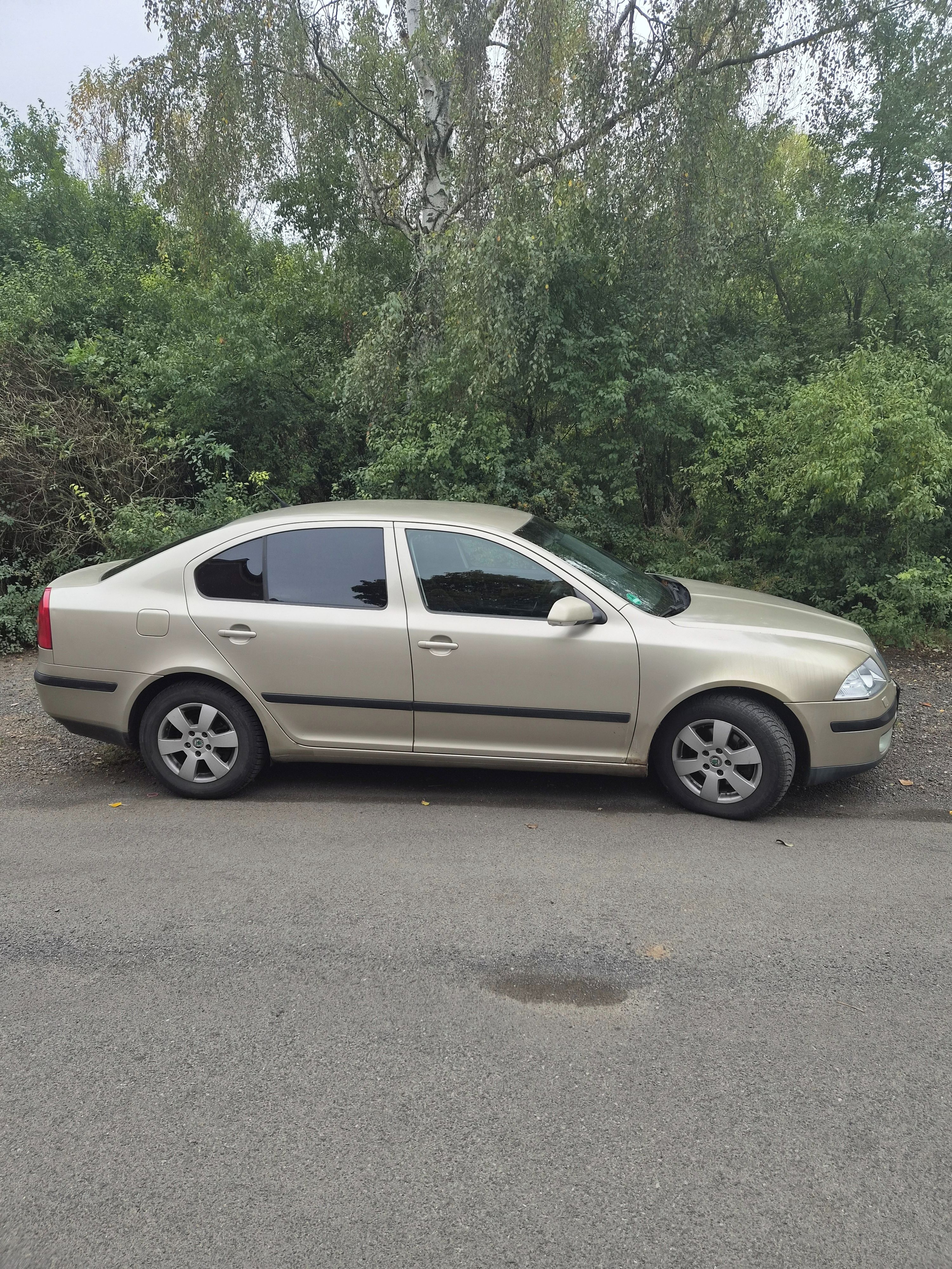 Škoda Octavia, Po servisu, nové rozvody - fotka 3